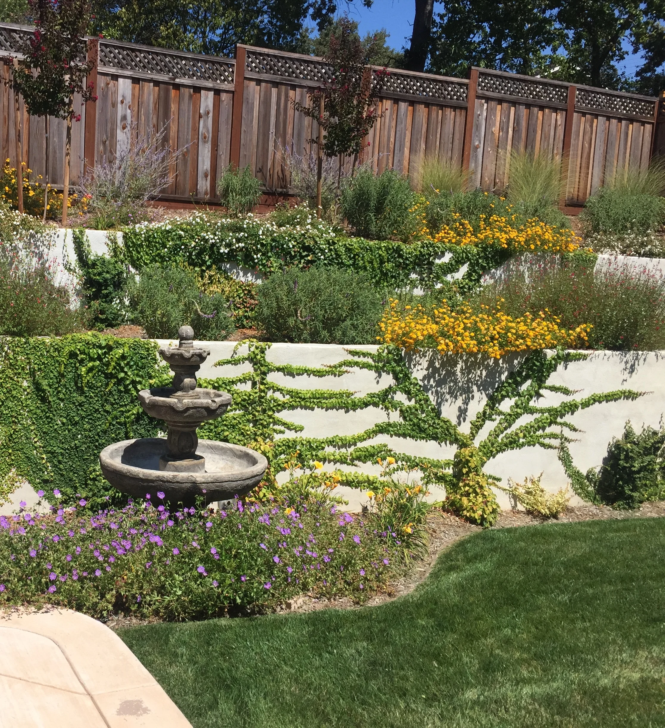 Installation Project