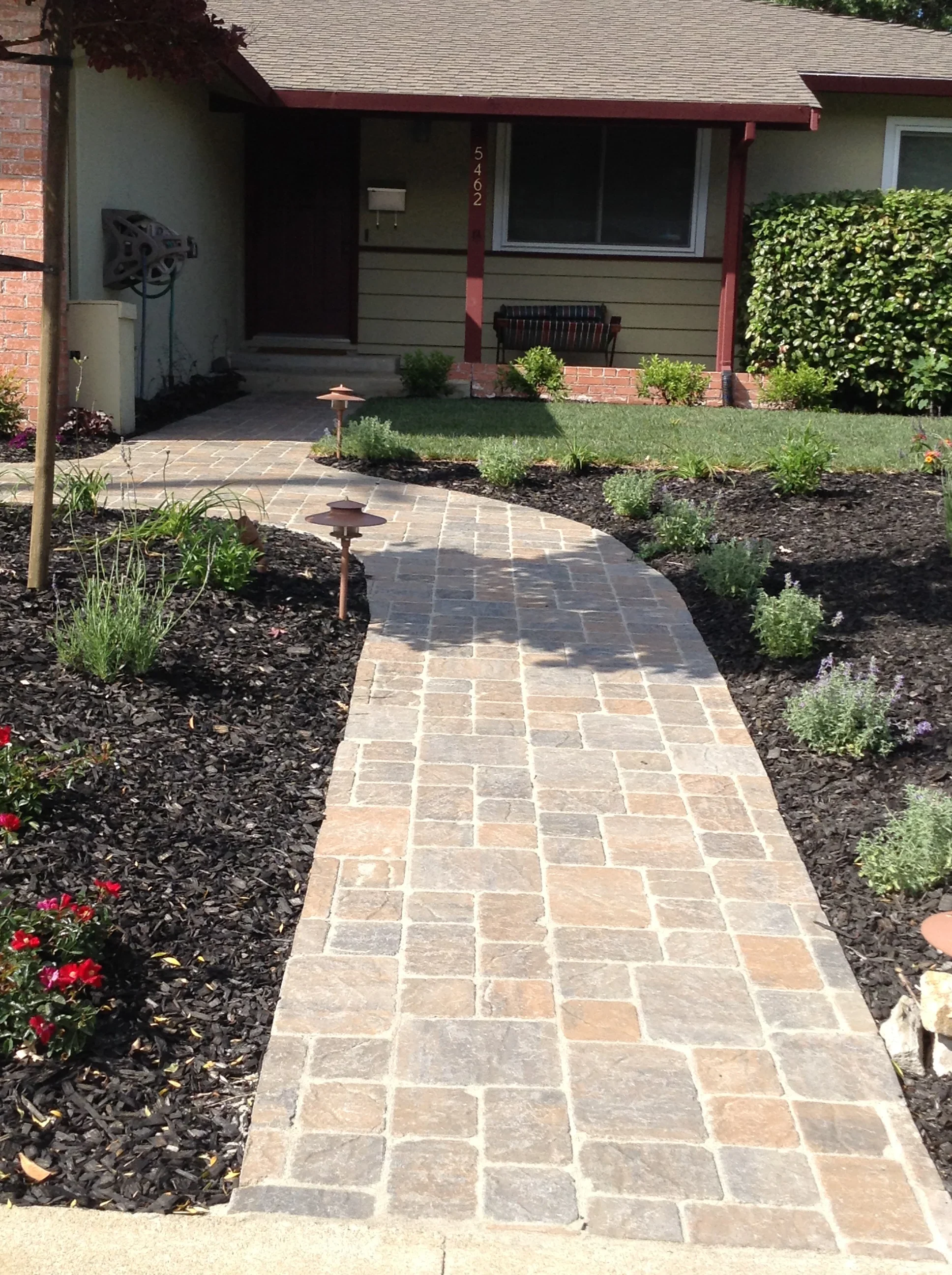 Jean Fogg Landscape project 128