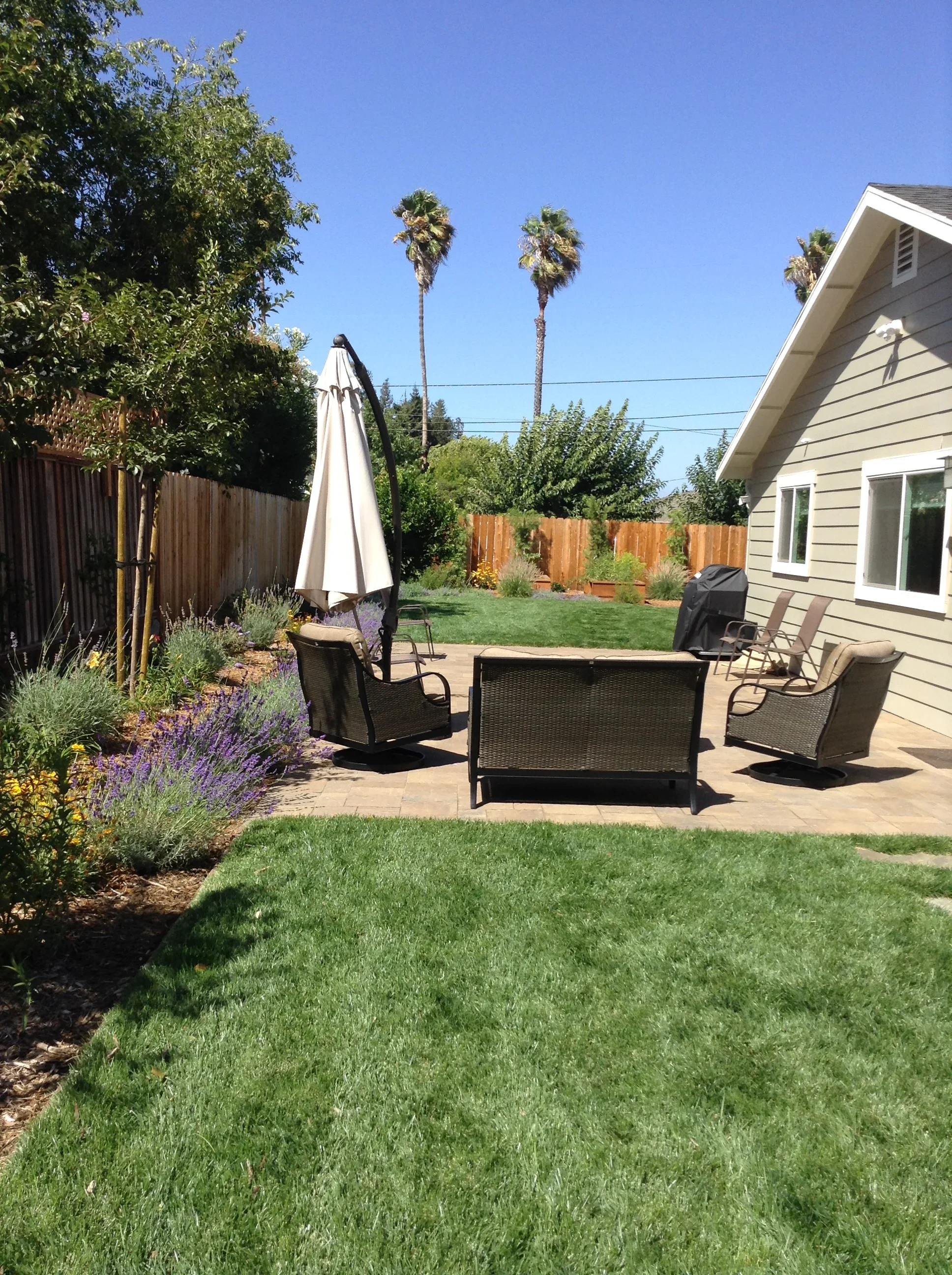 Jean Fogg Landscape project 124