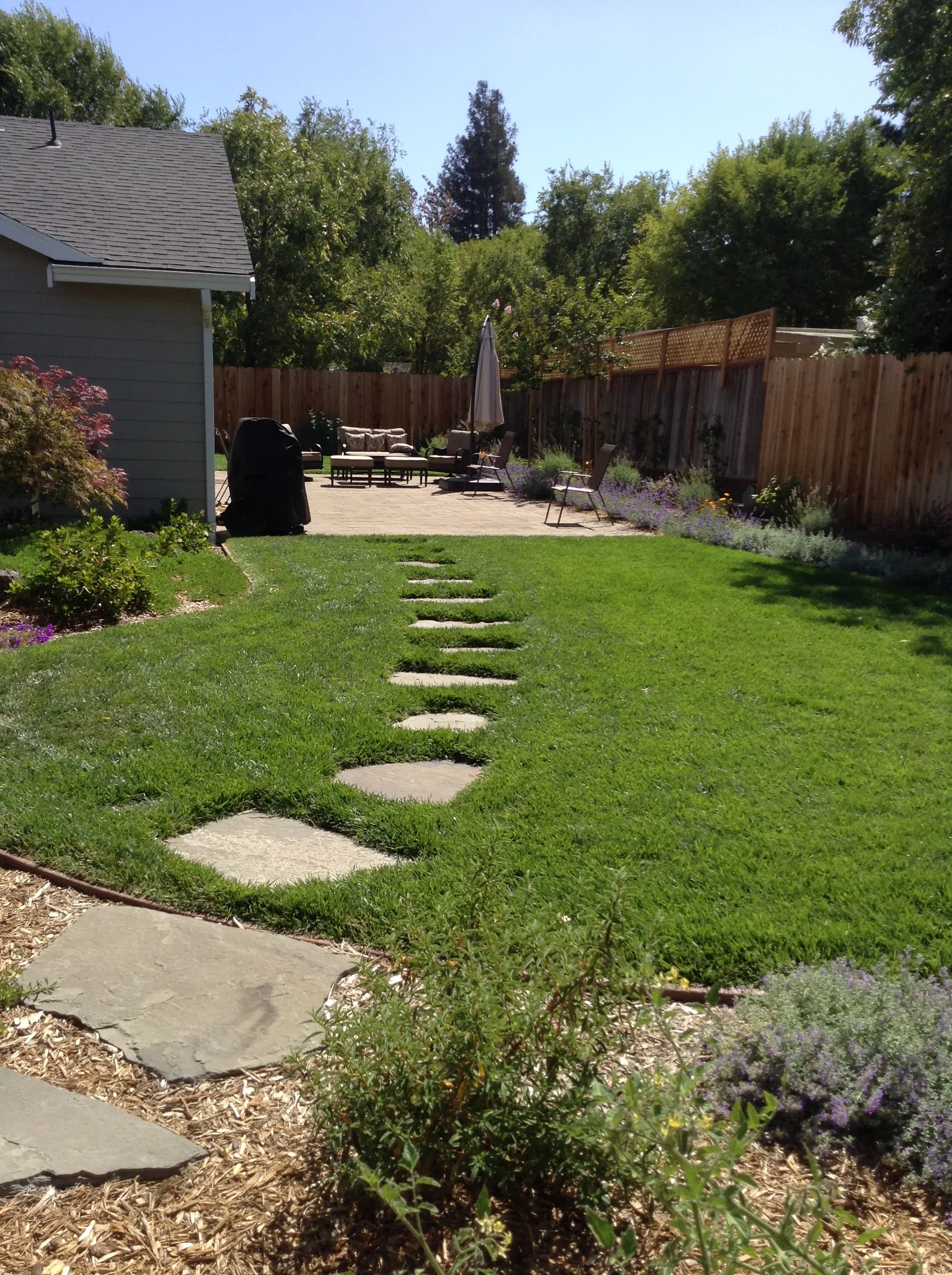 Jean Fogg Landscape project 119