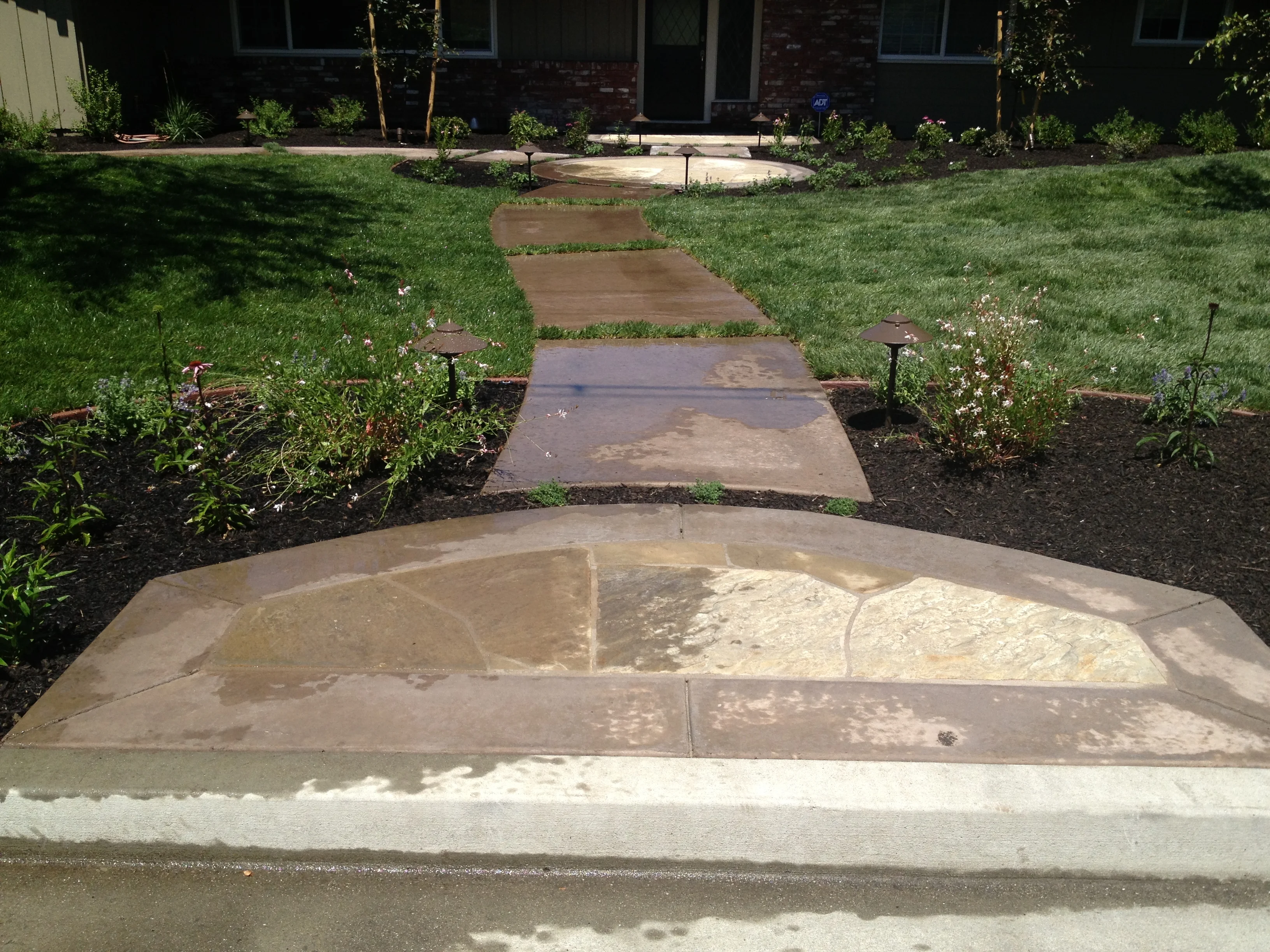 Jean Fogg Landscape project 117