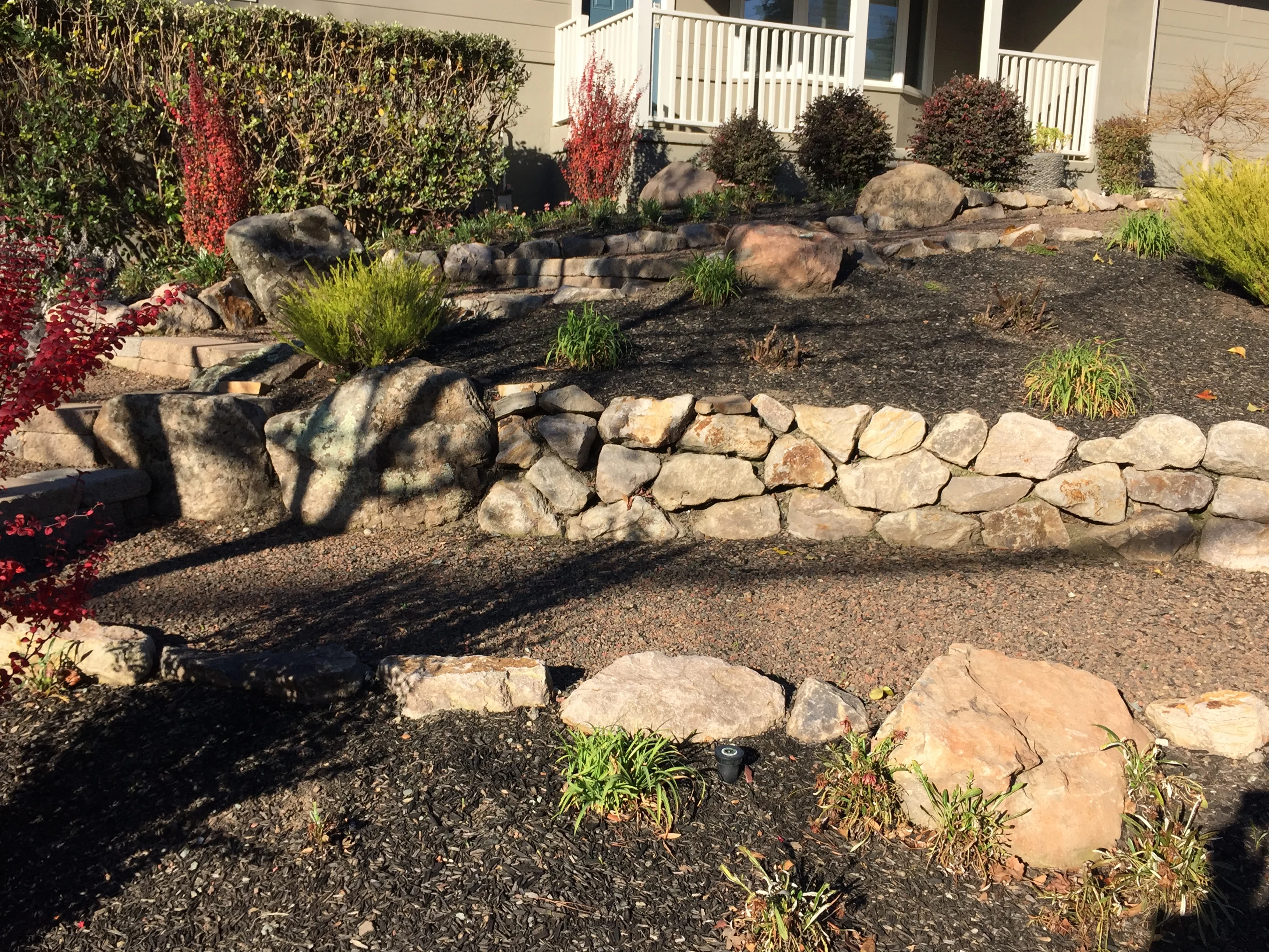 Jean Fogg Landscape project 105