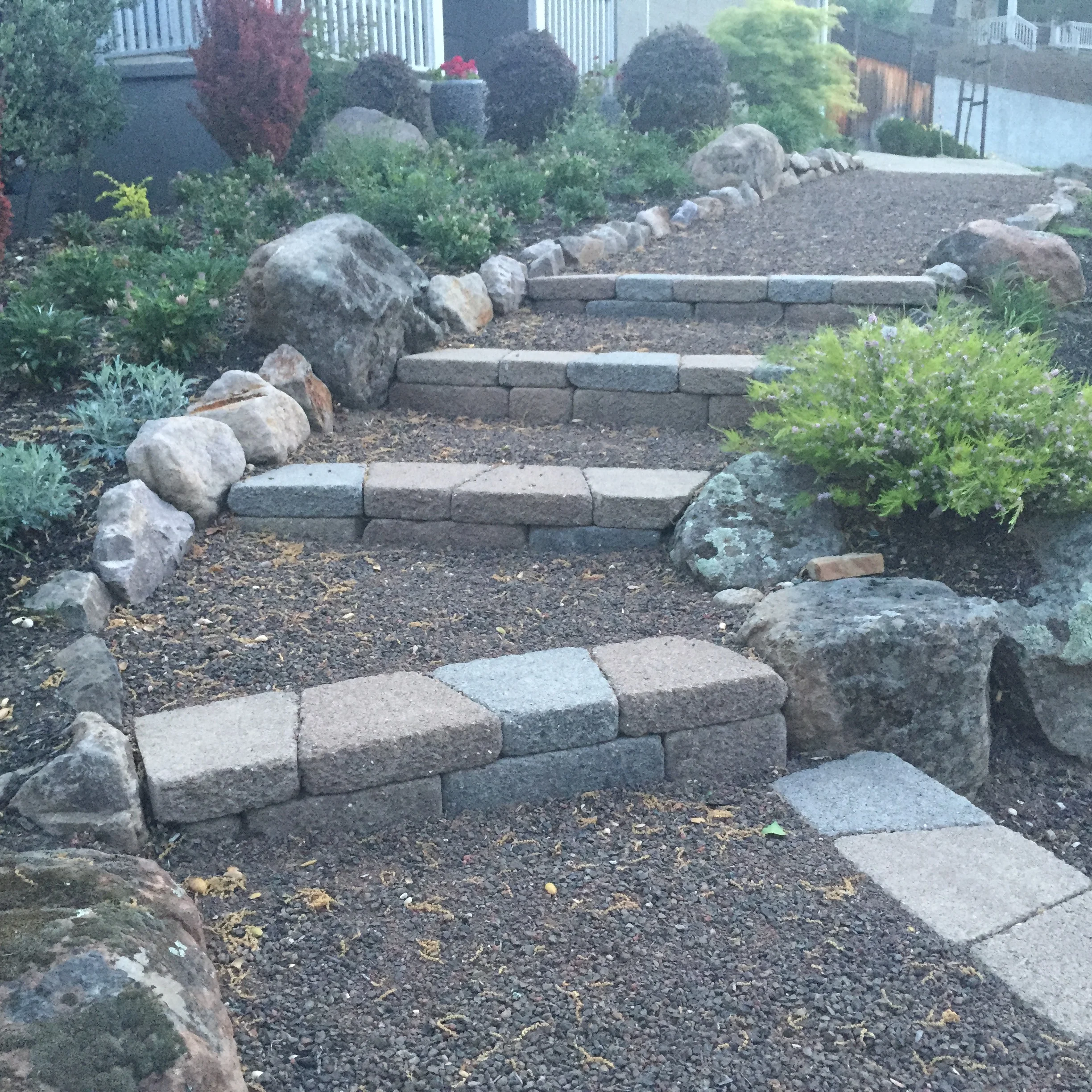 Jean Fogg Landscape project 104