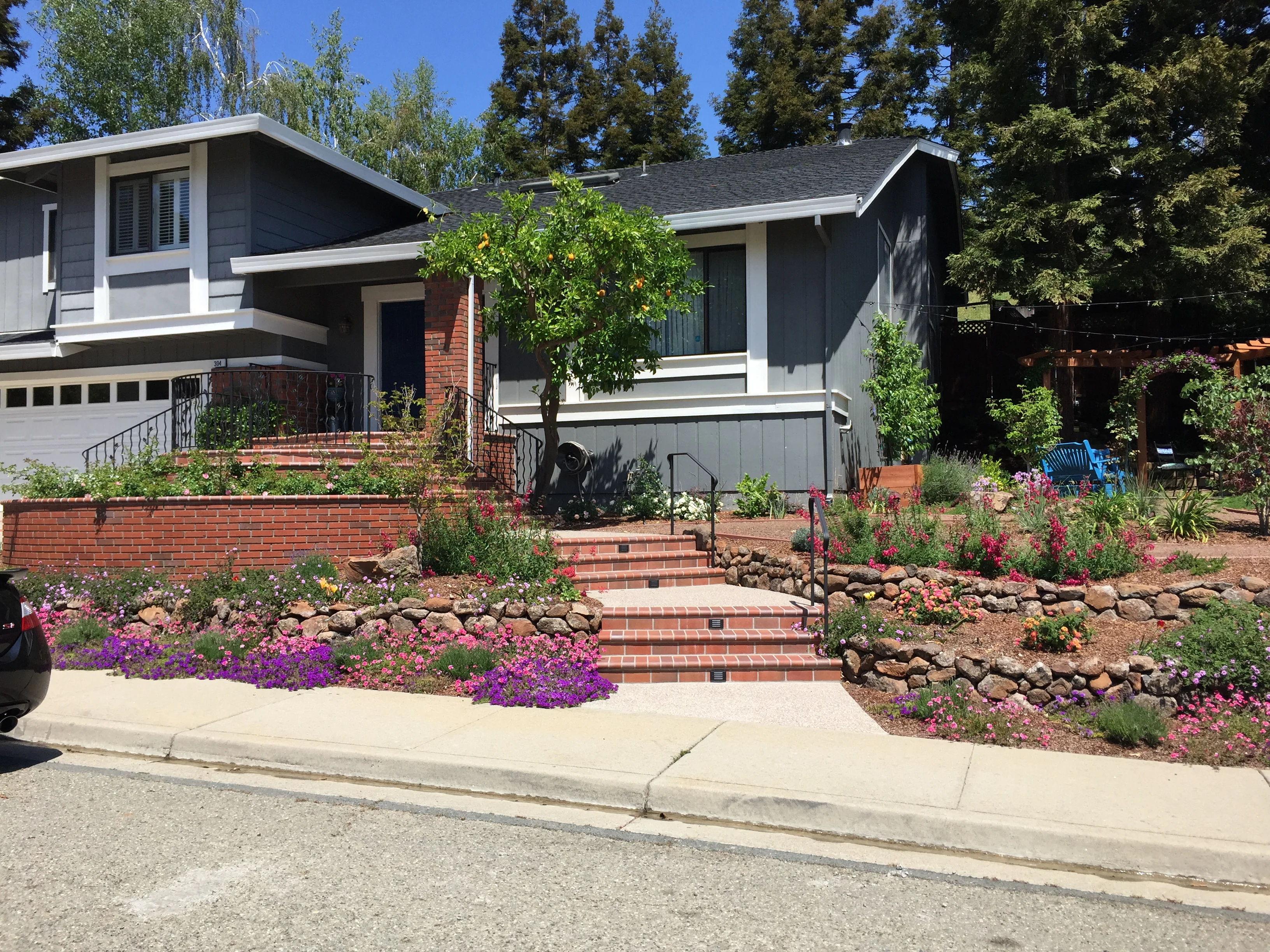 Jean Fogg Landscape project 103