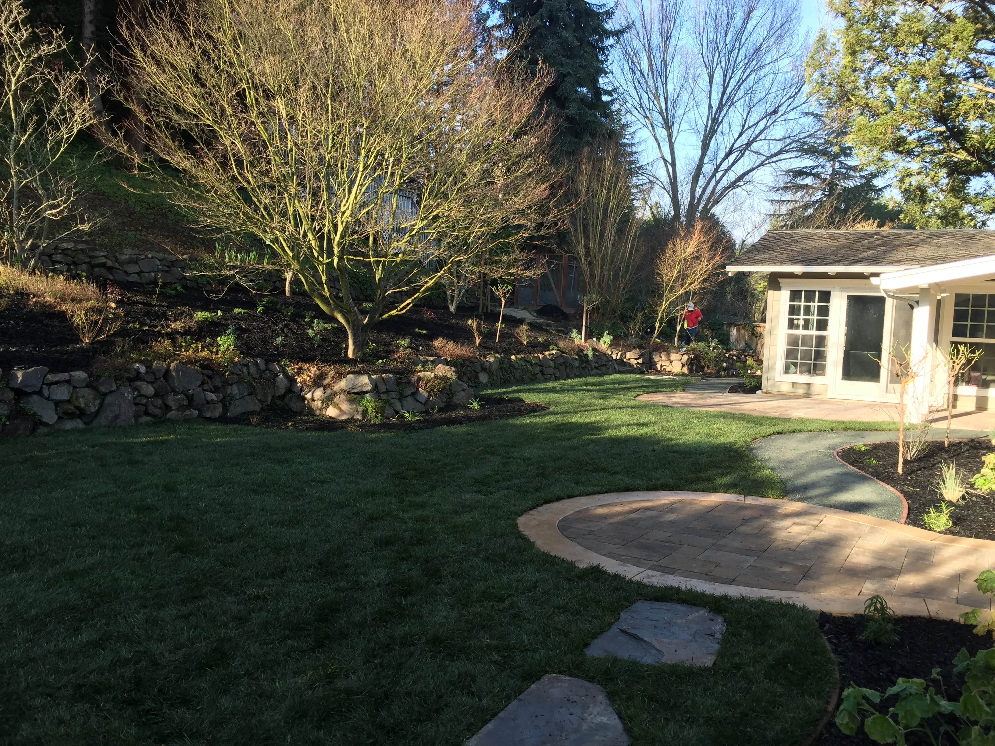 Jean Fogg Landscape project 84