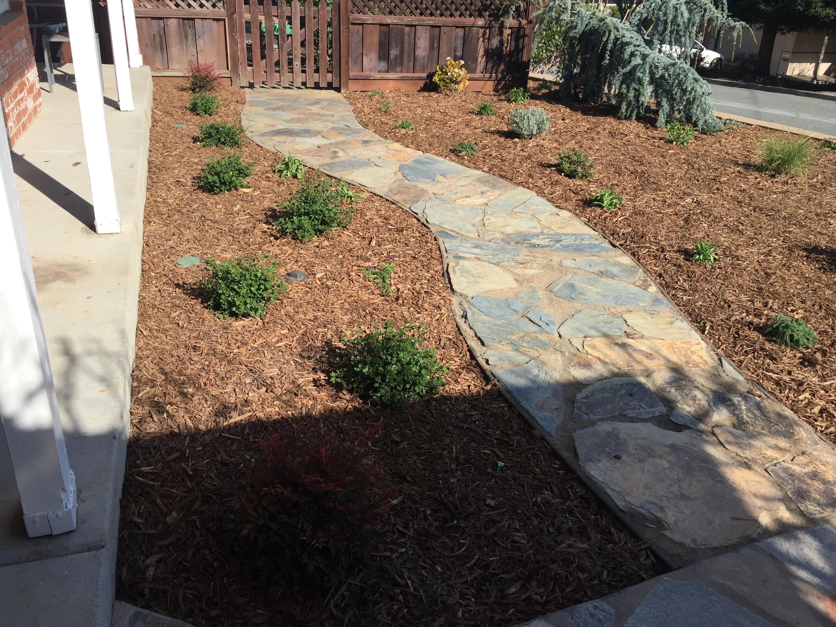 Jean Fogg Landscape project 79