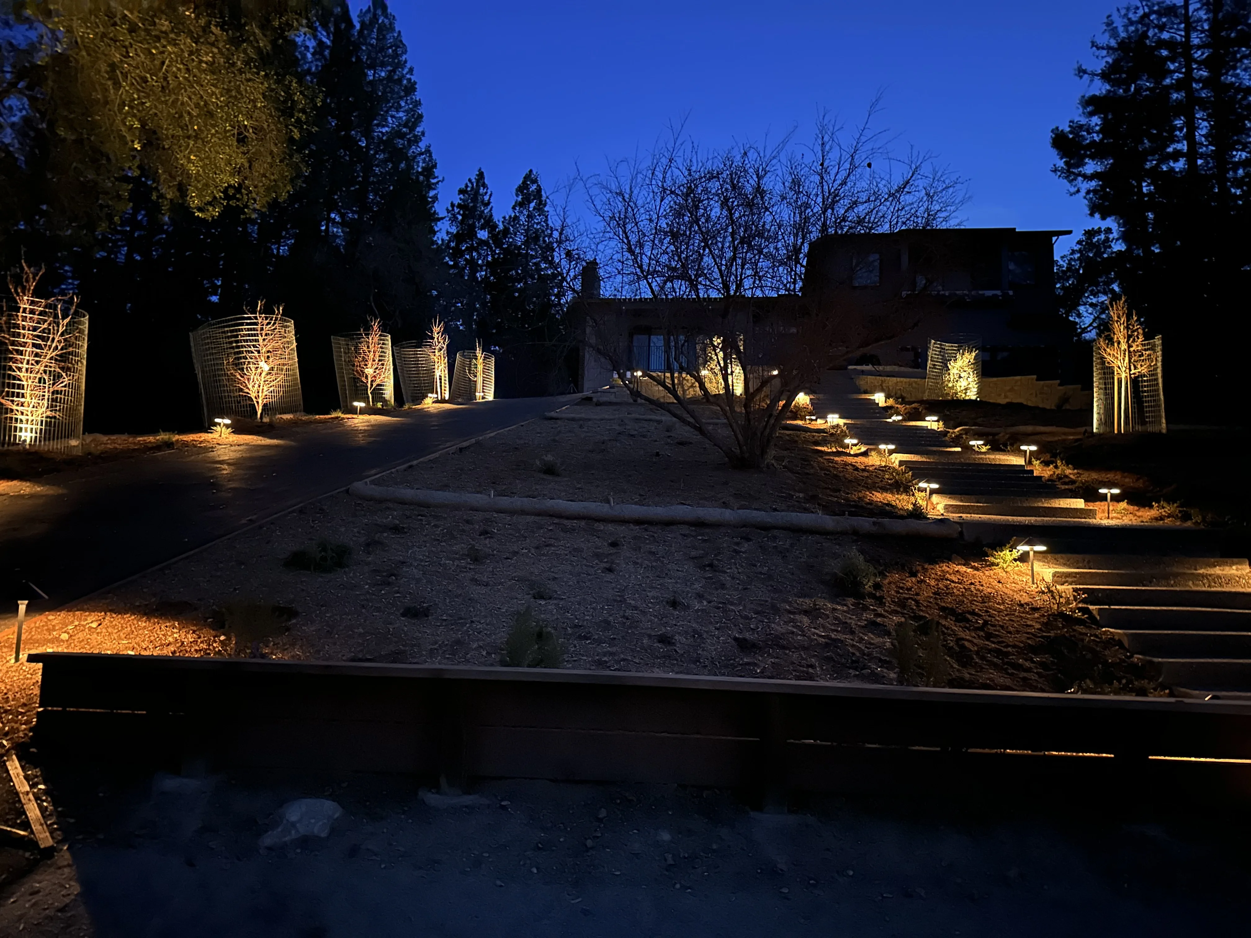 Jean Fogg Landscape project 78