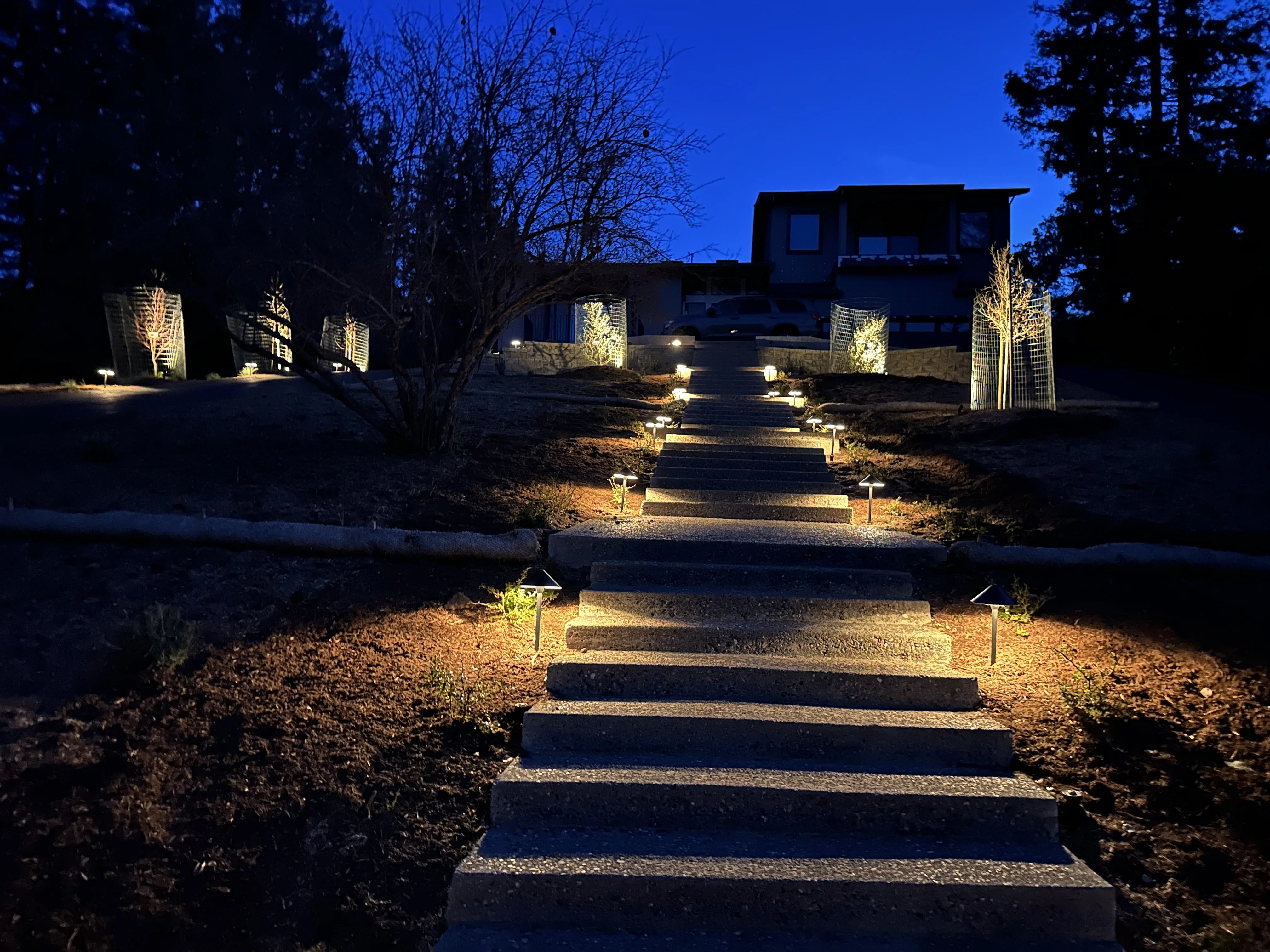 Jean Fogg Landscape project 77