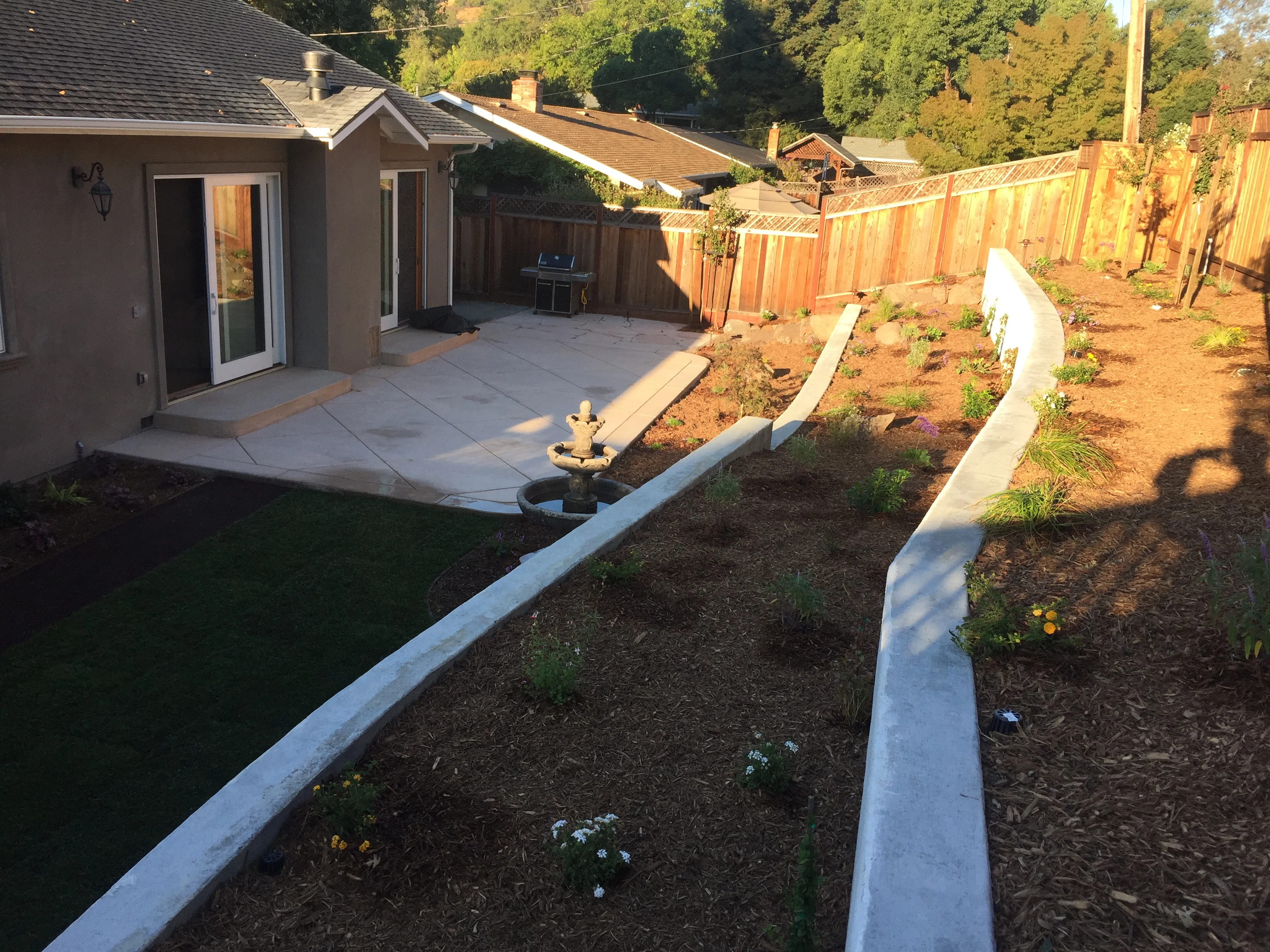 Jean Fogg Landscape project 73