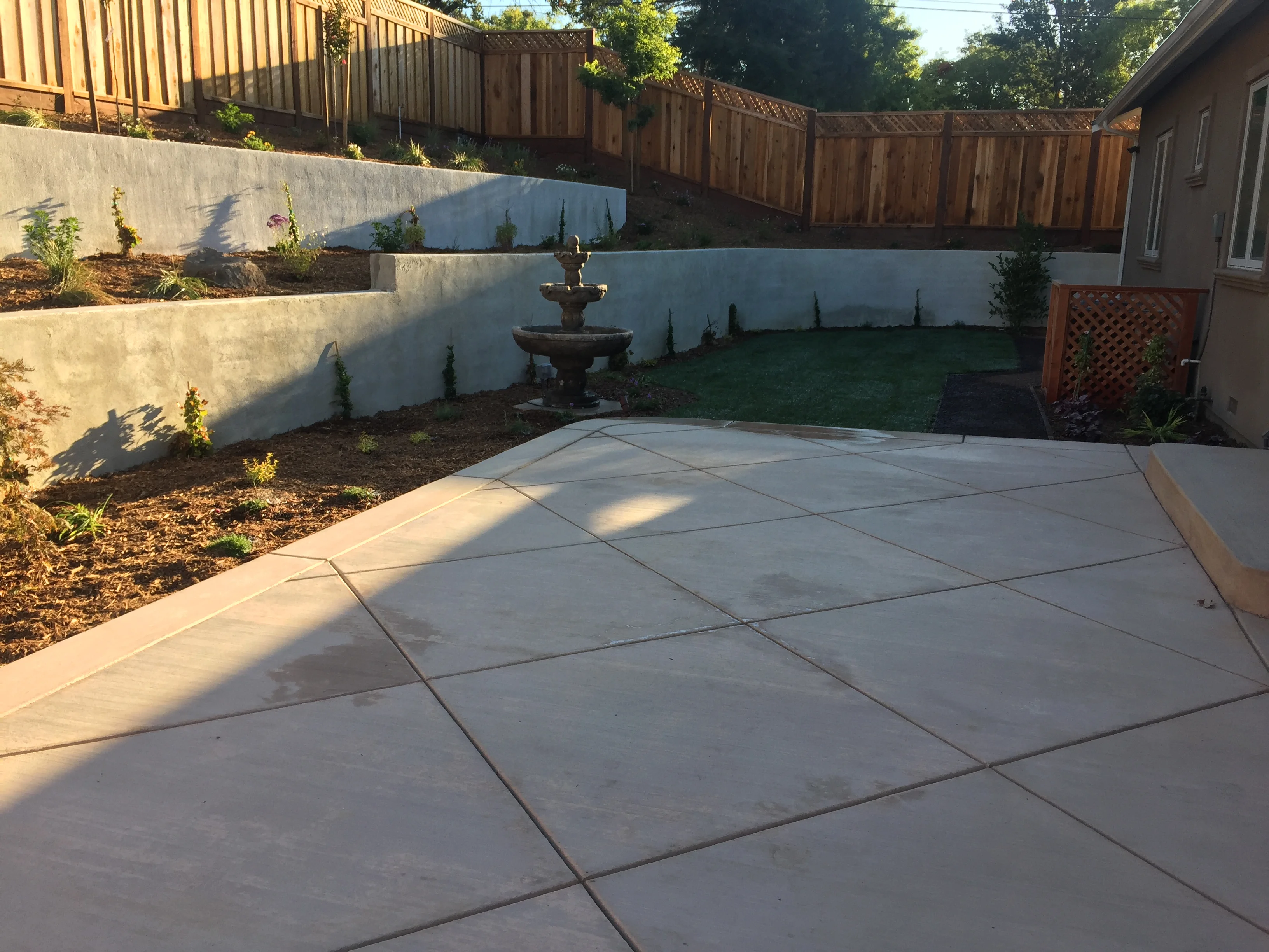 Jean Fogg Landscape project 72