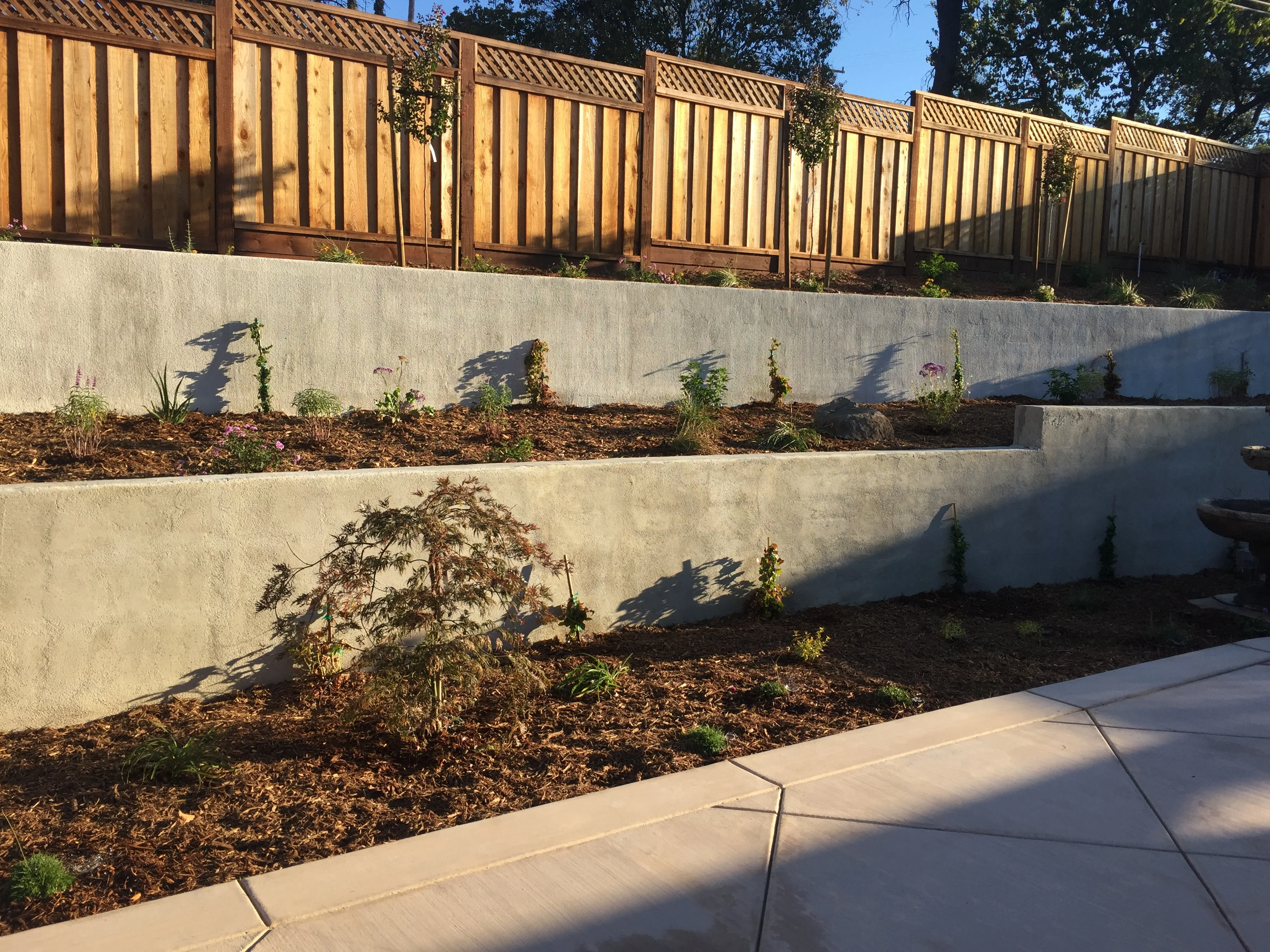 Jean Fogg Landscape project 71