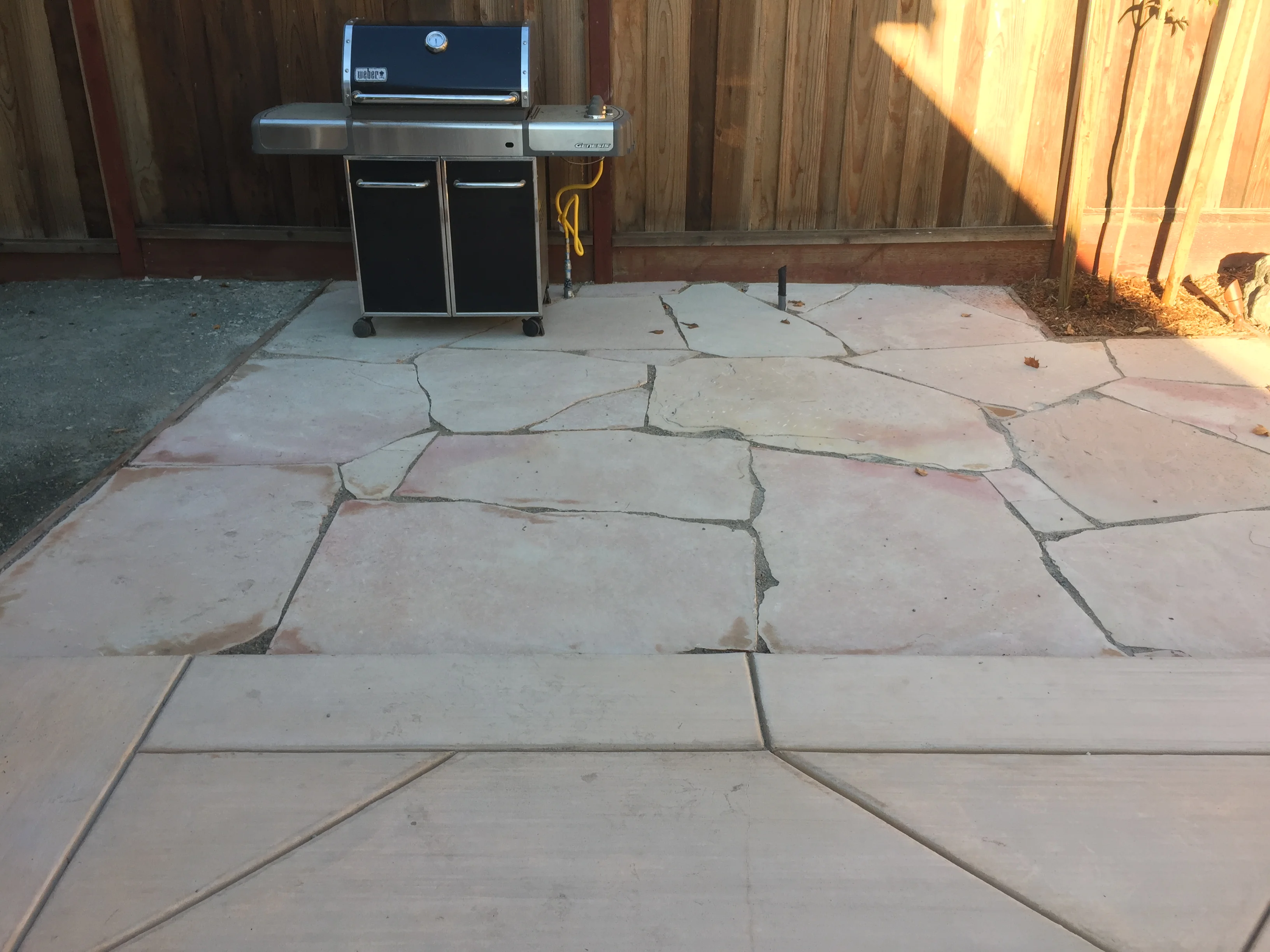 Jean Fogg Landscape project 70