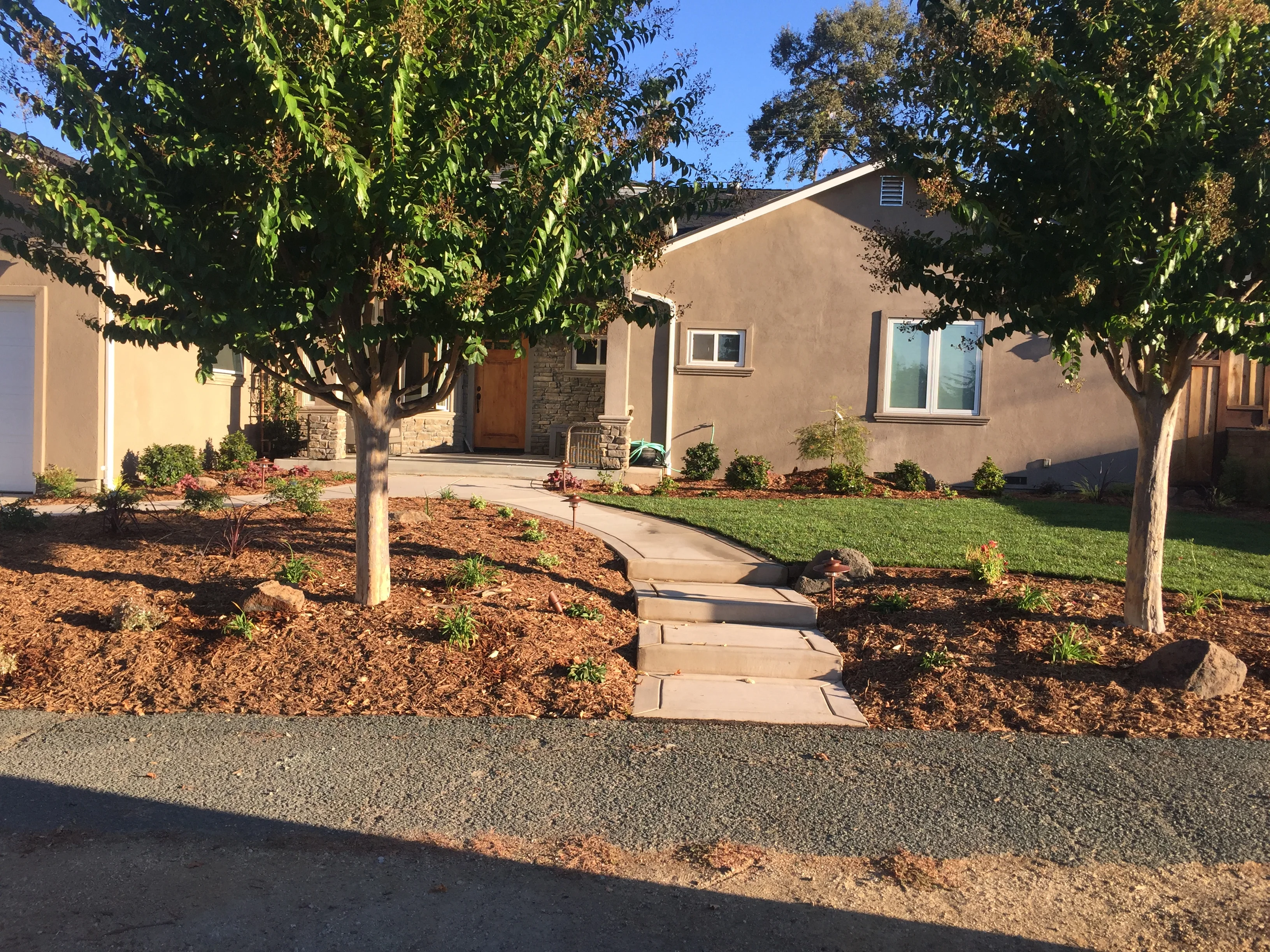 Jean Fogg Landscape project 69