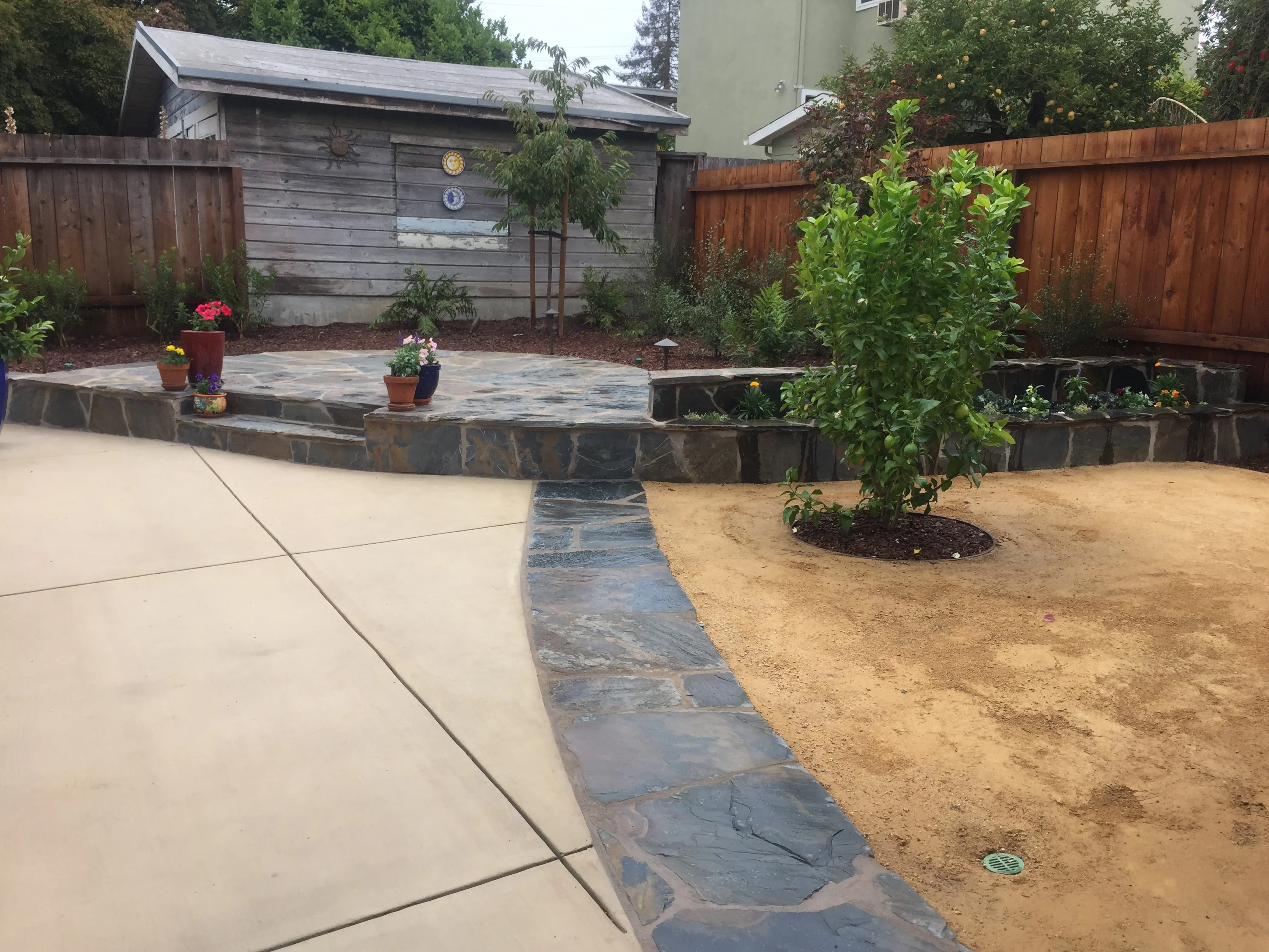 Jean Fogg Landscape project 67