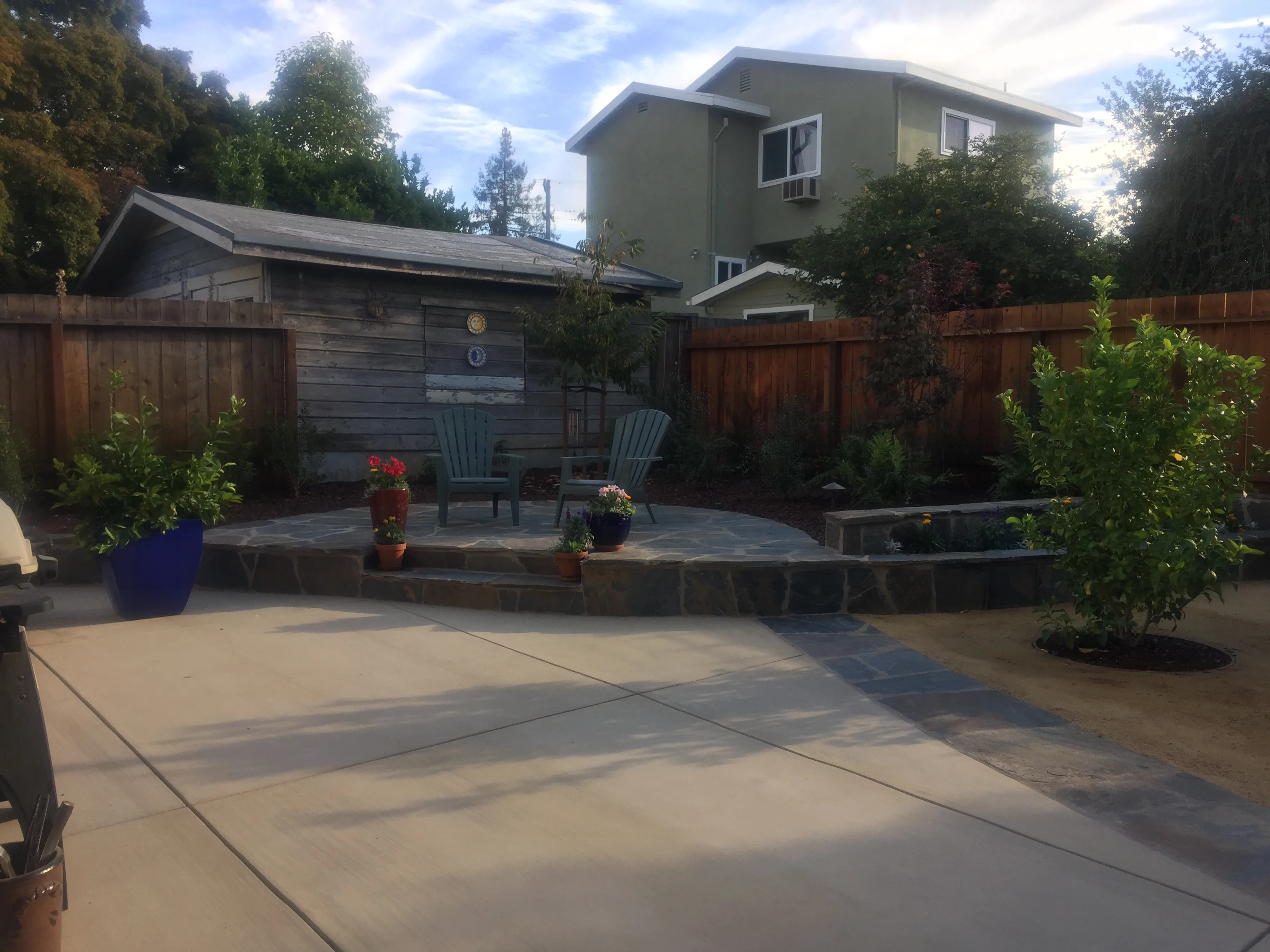 Jean Fogg Landscape project 66