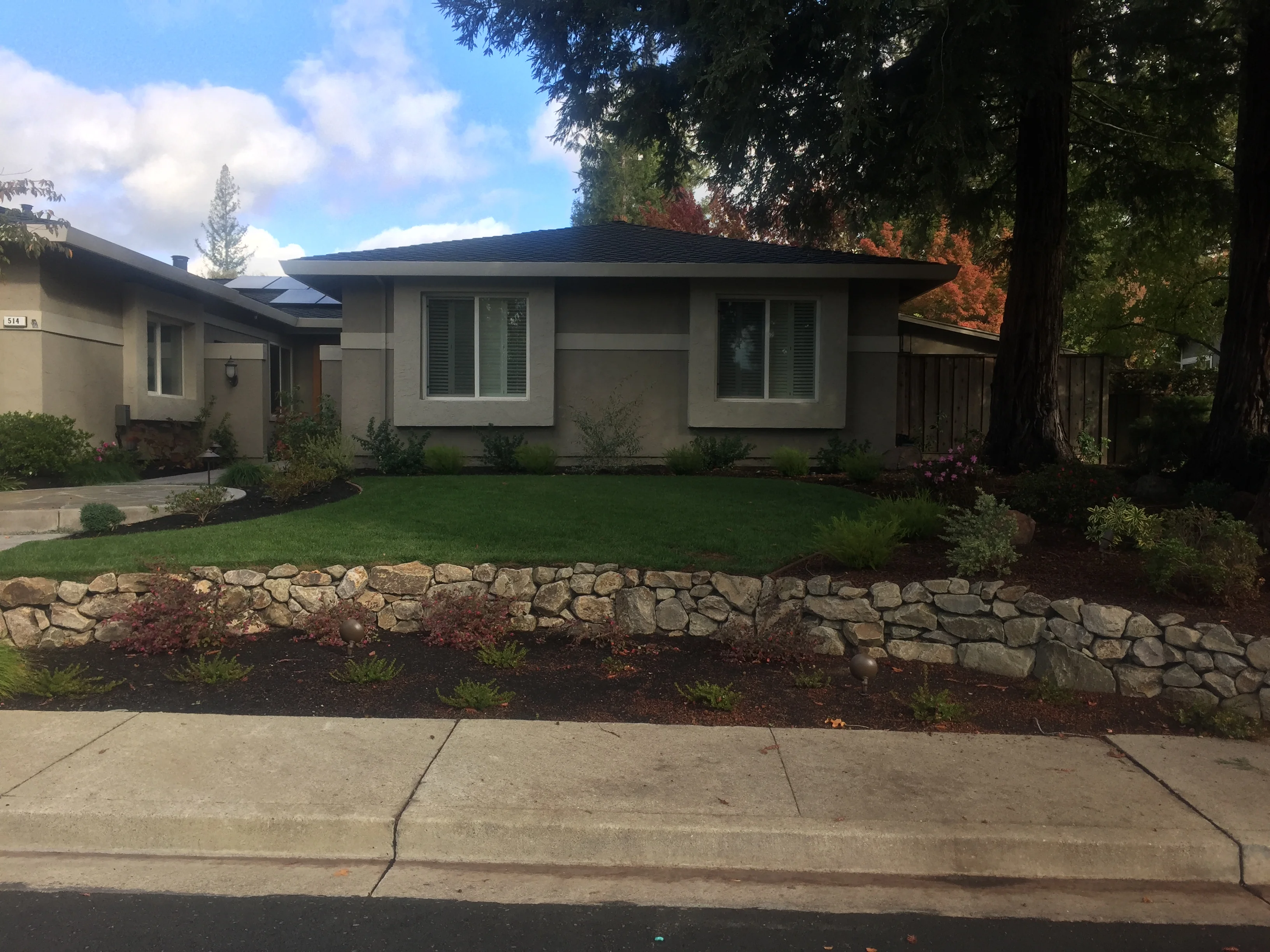 Jean Fogg Landscape project 64