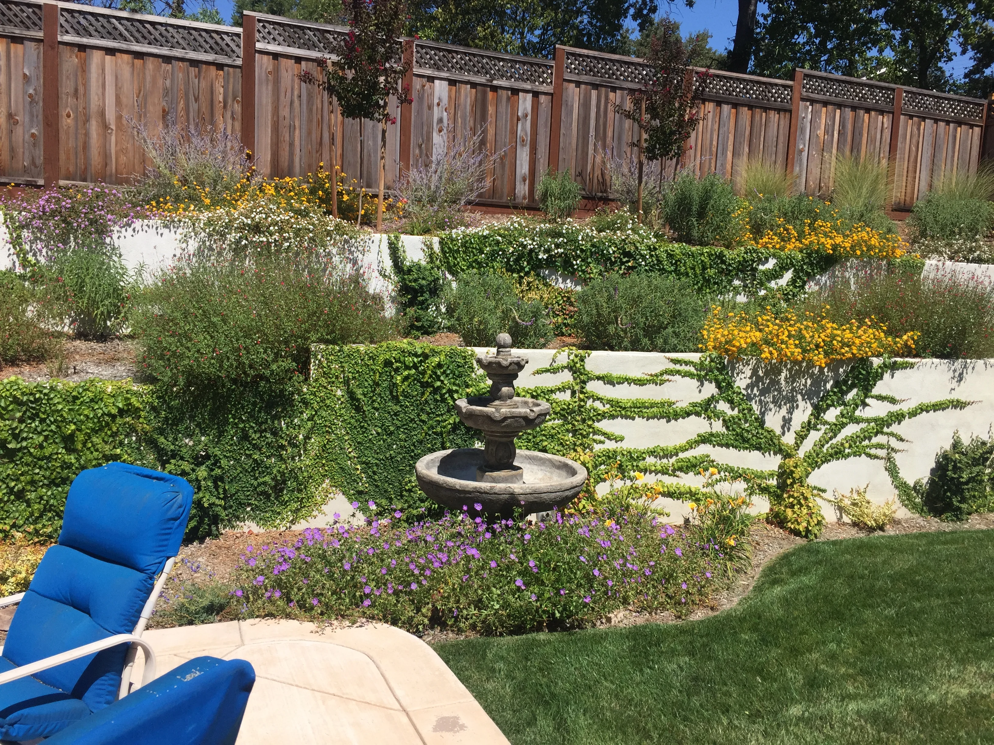 Jean Fogg Landscape project 48