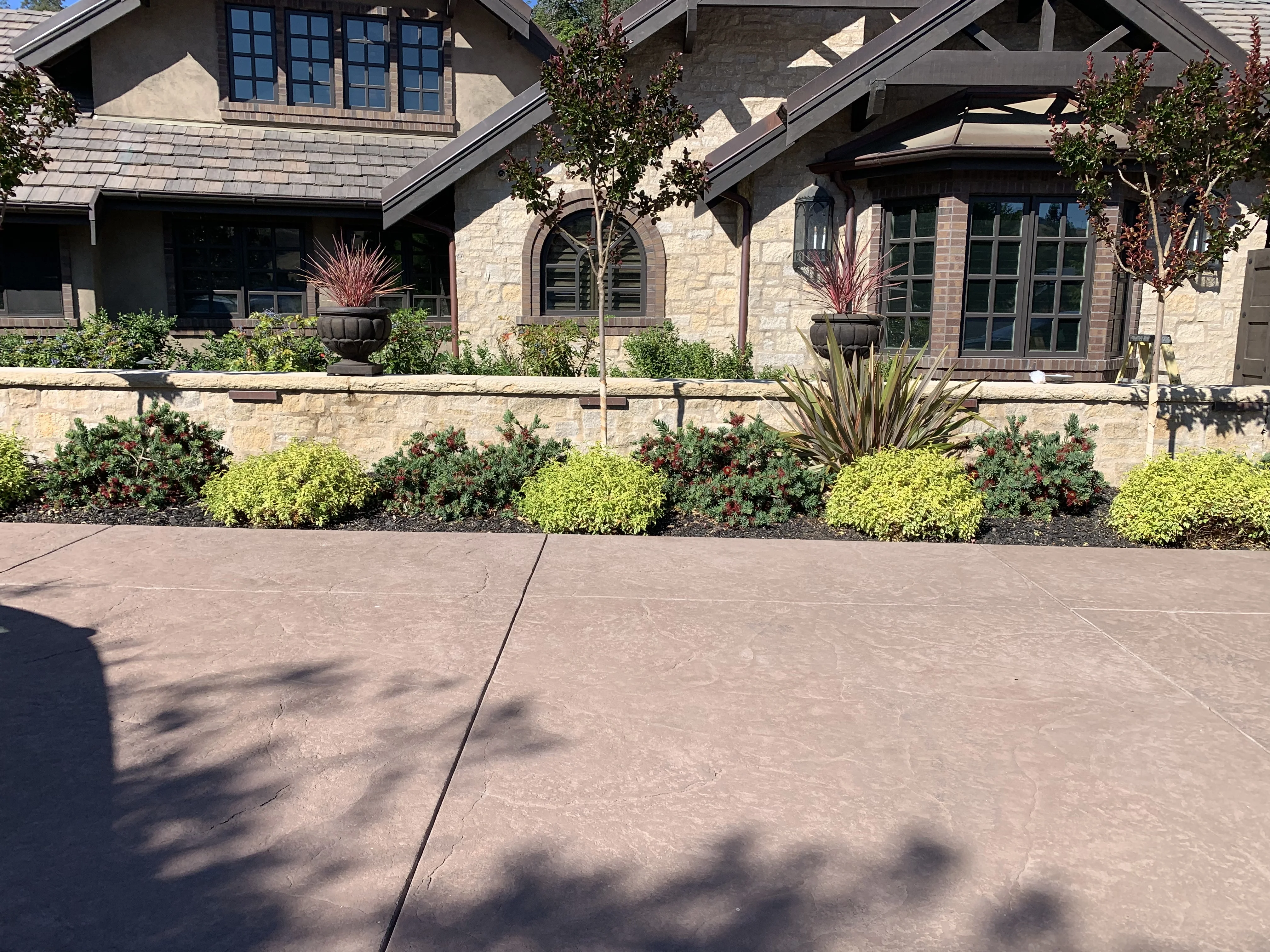 Jean Fogg Landscape project 47