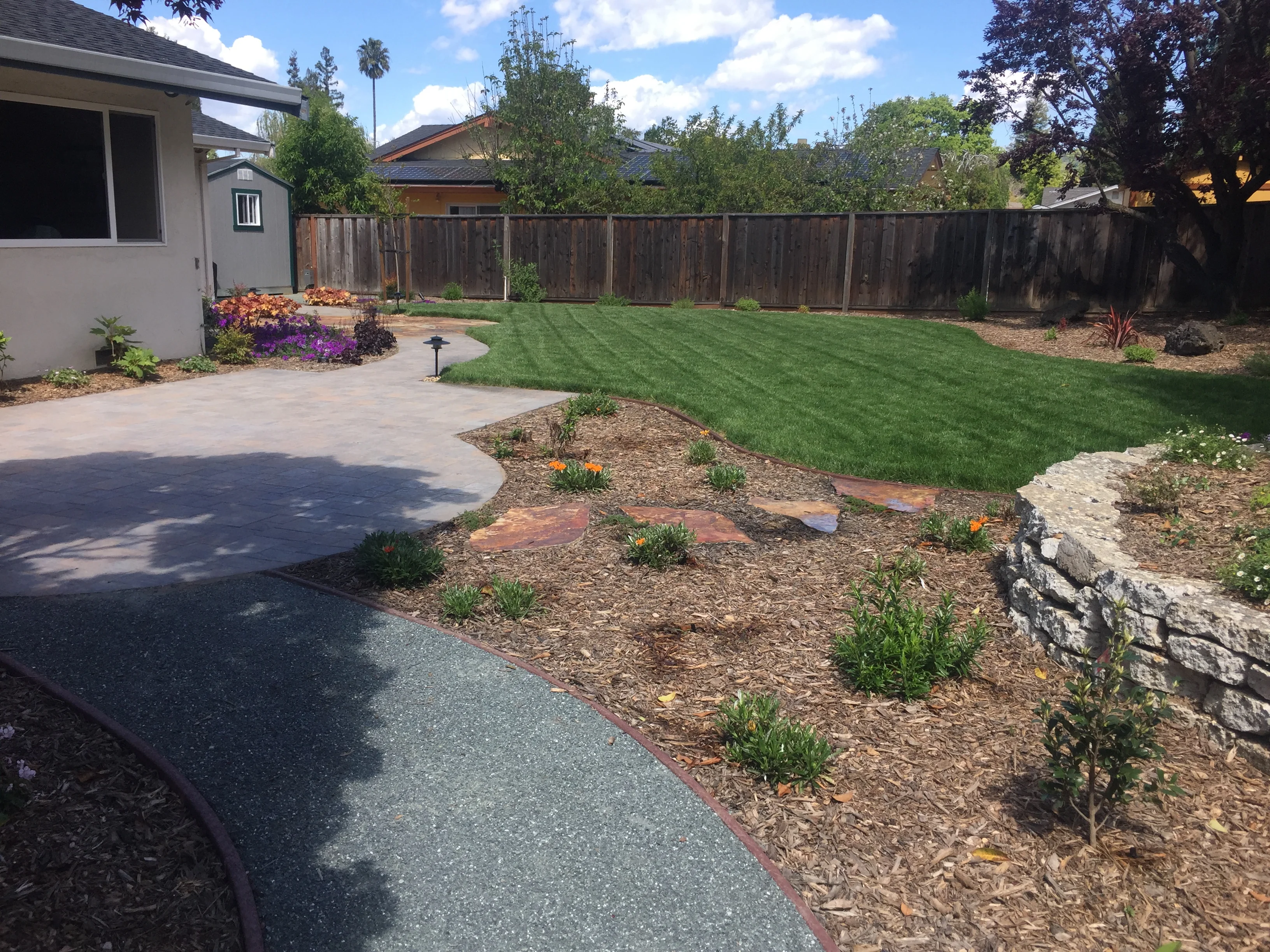 Jean Fogg Landscape project 39