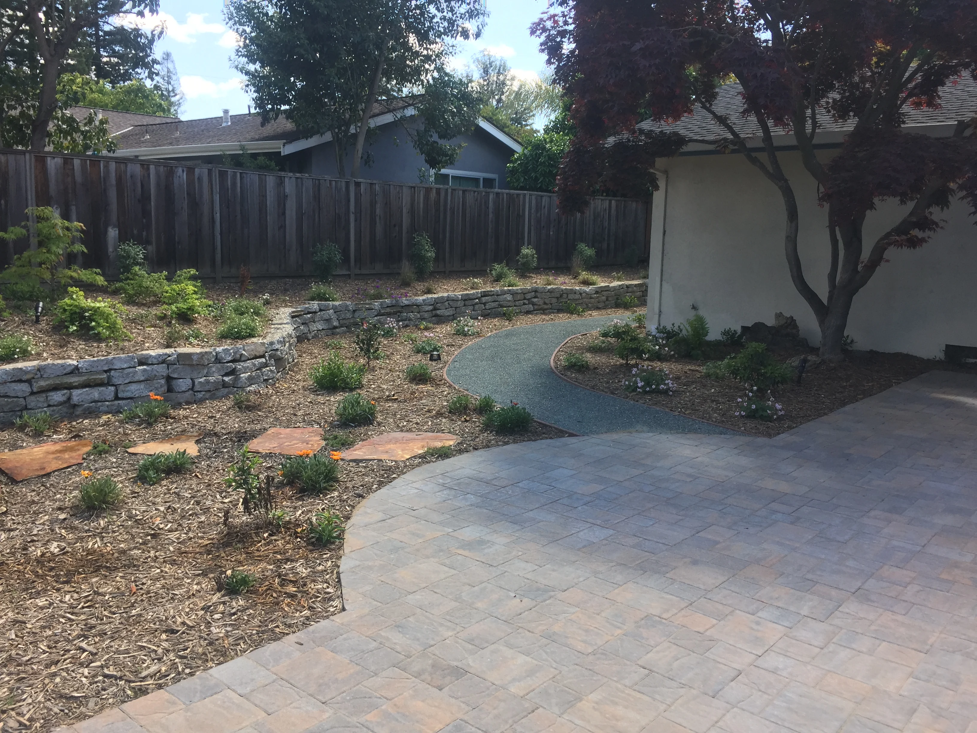 Jean Fogg Landscape project 37