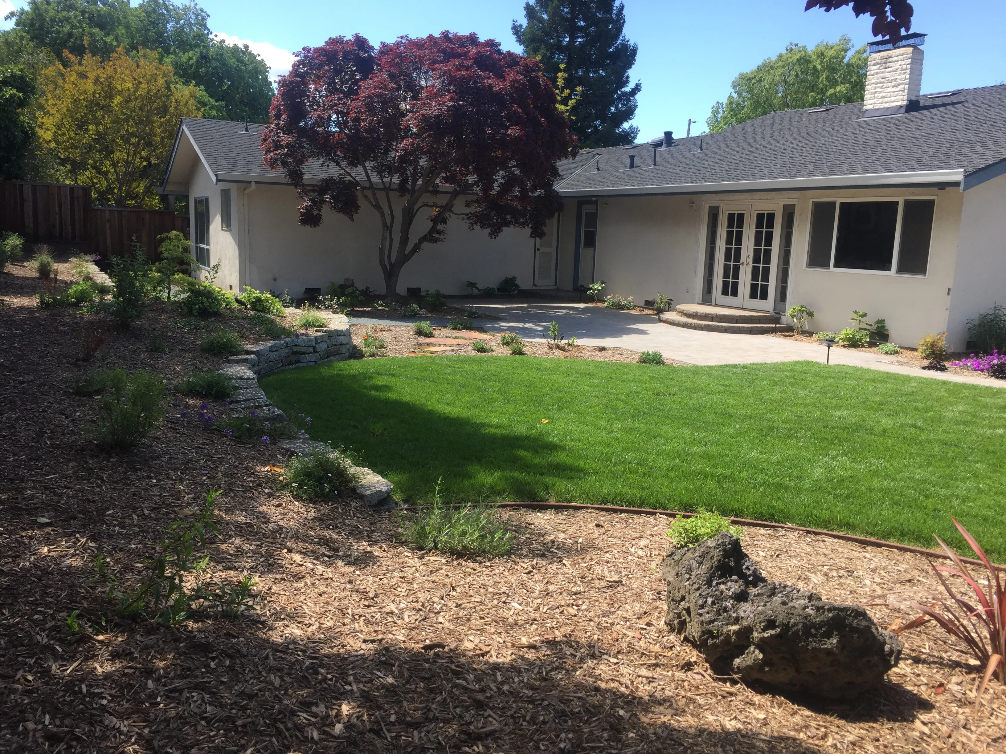 Jean Fogg Landscape project 35