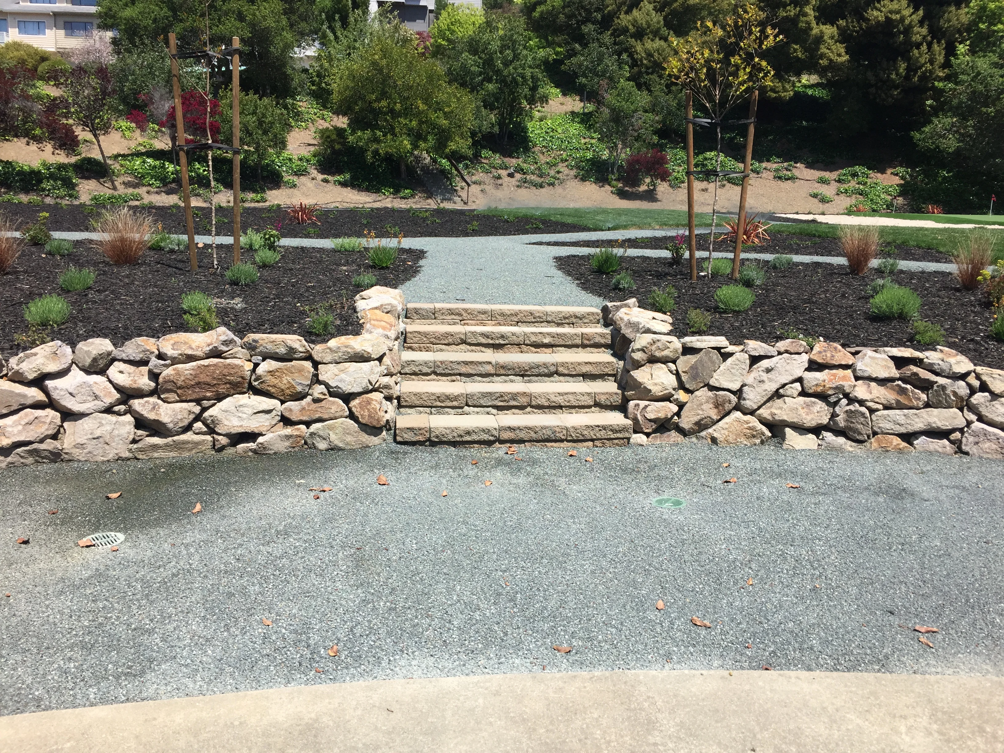 Jean Fogg Landscape project 31