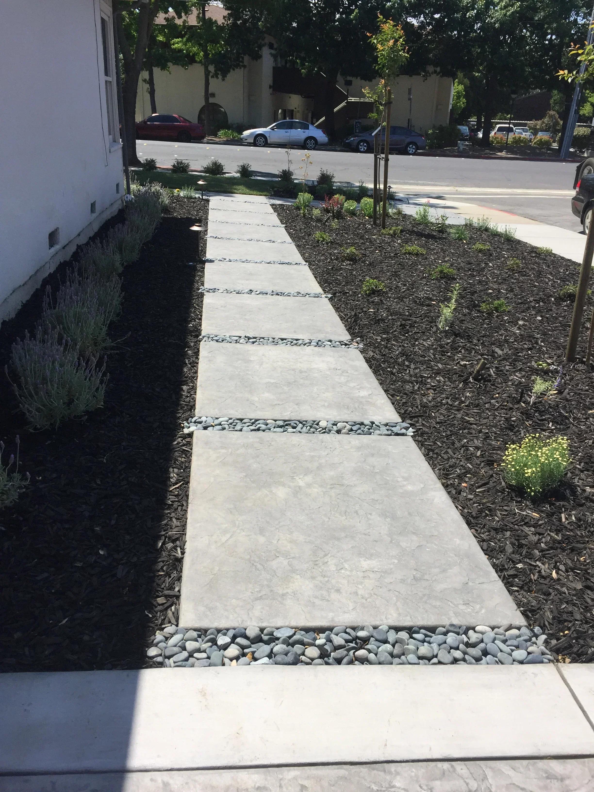 Jean Fogg Landscape project 28