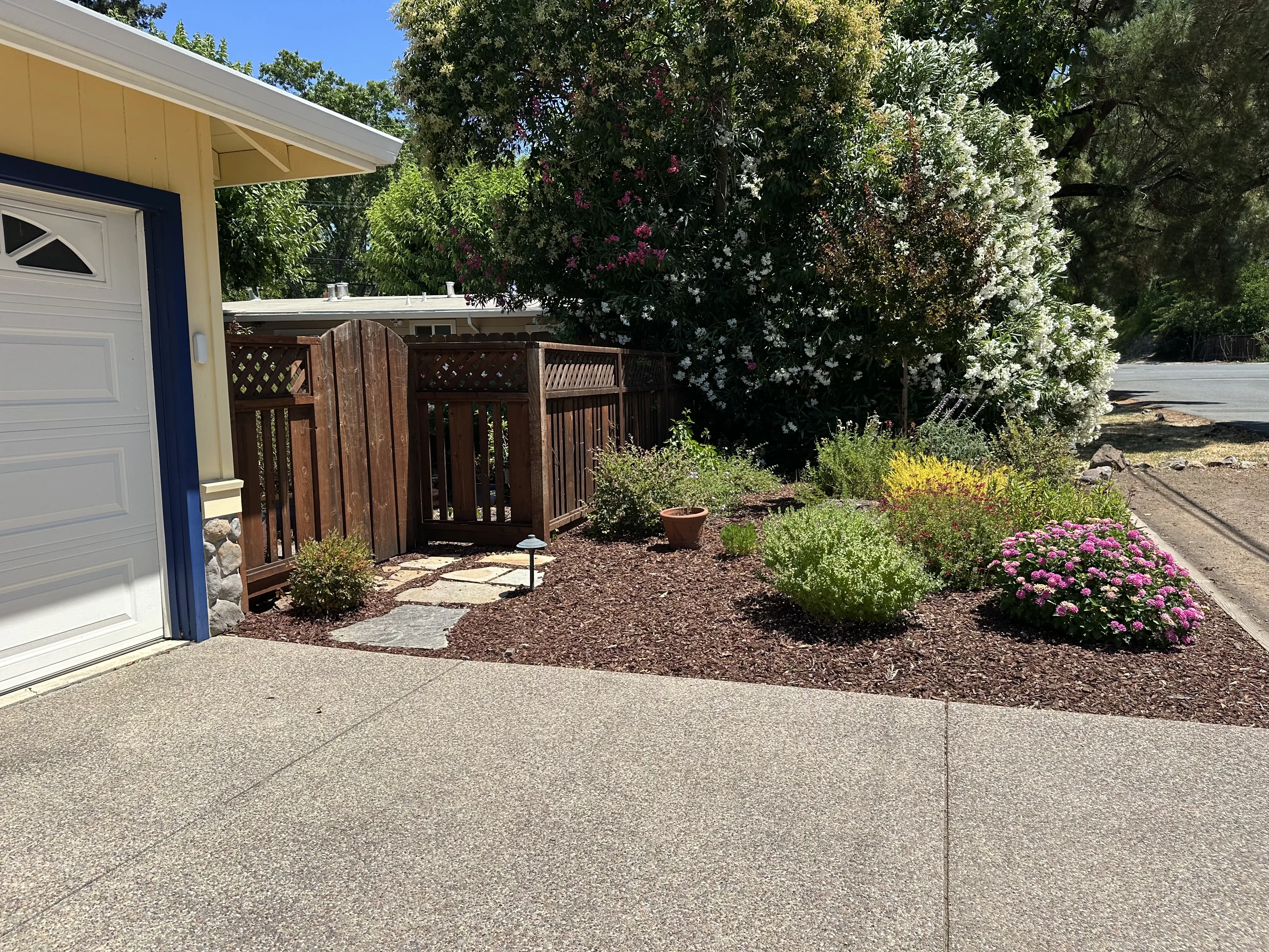 Jean Fogg Landscape project 26