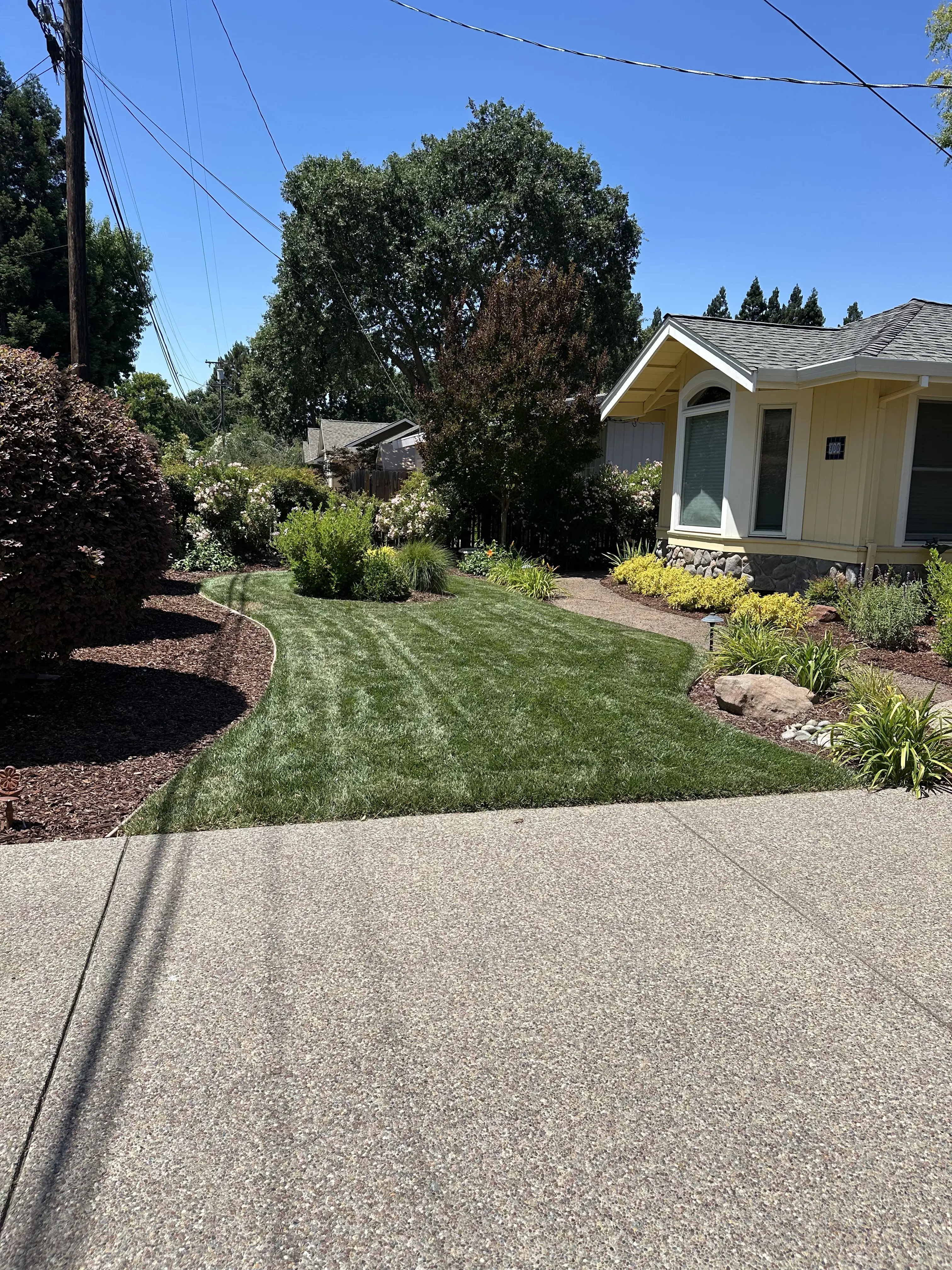 Jean Fogg Landscape project 25