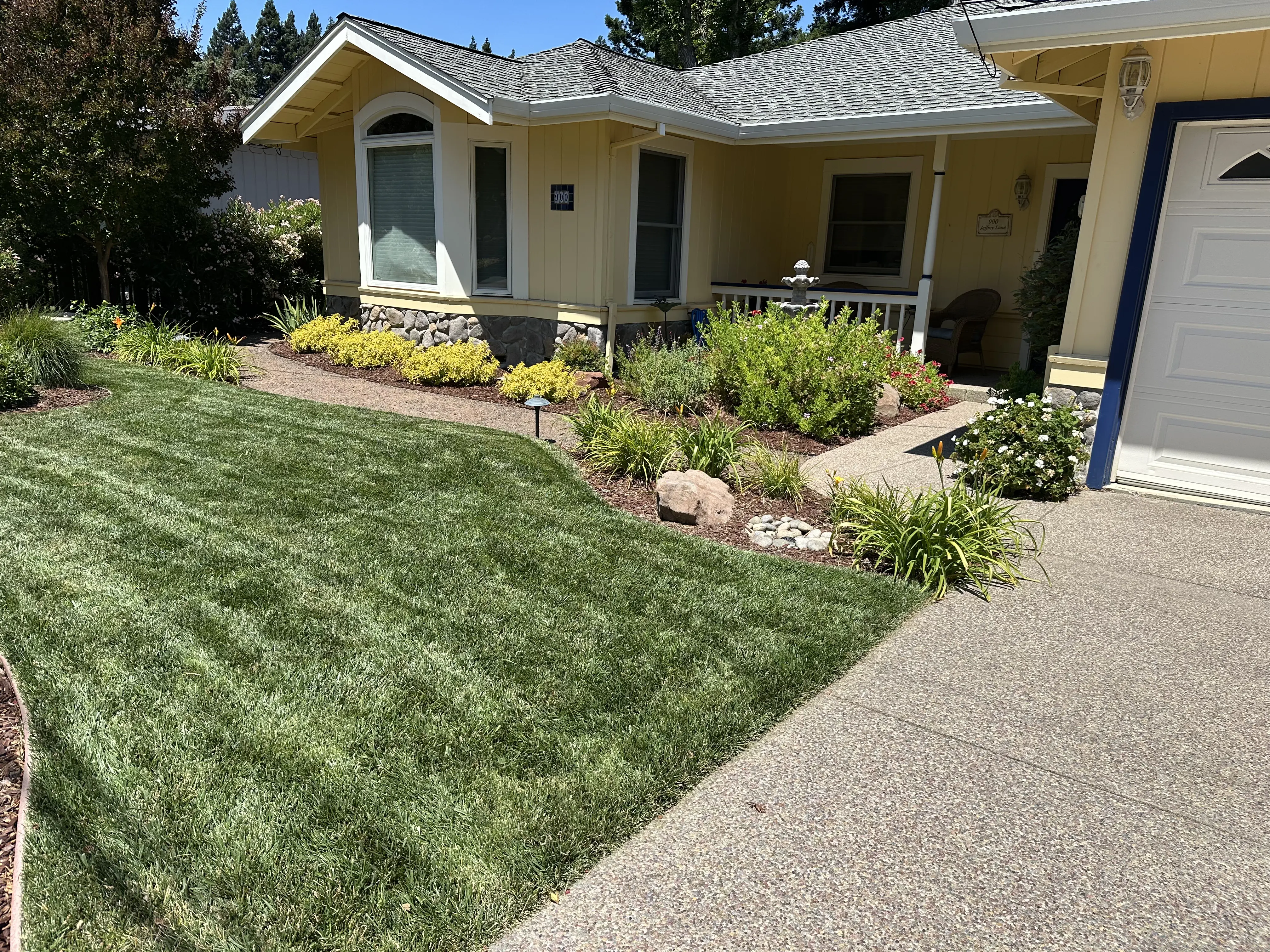 Jean Fogg Landscape project 24