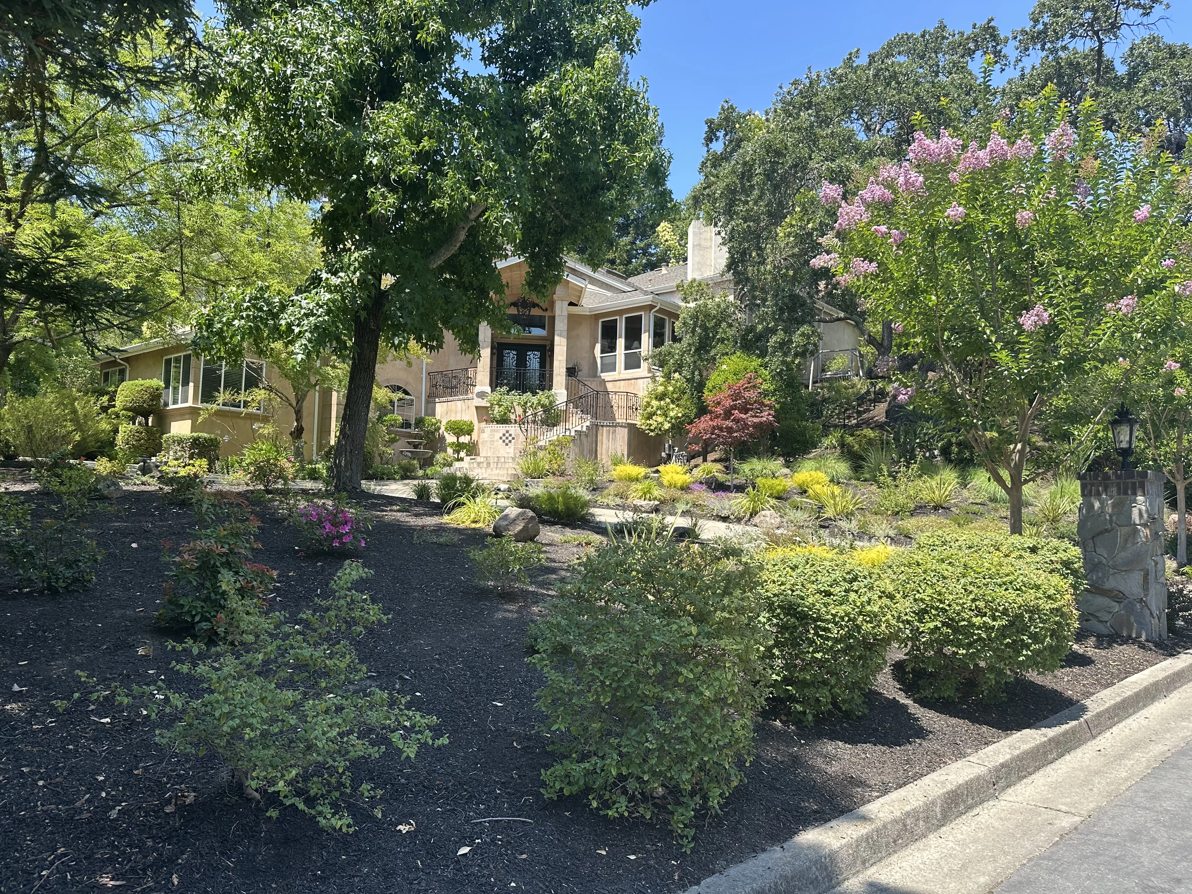 Jason L Residence Alamo