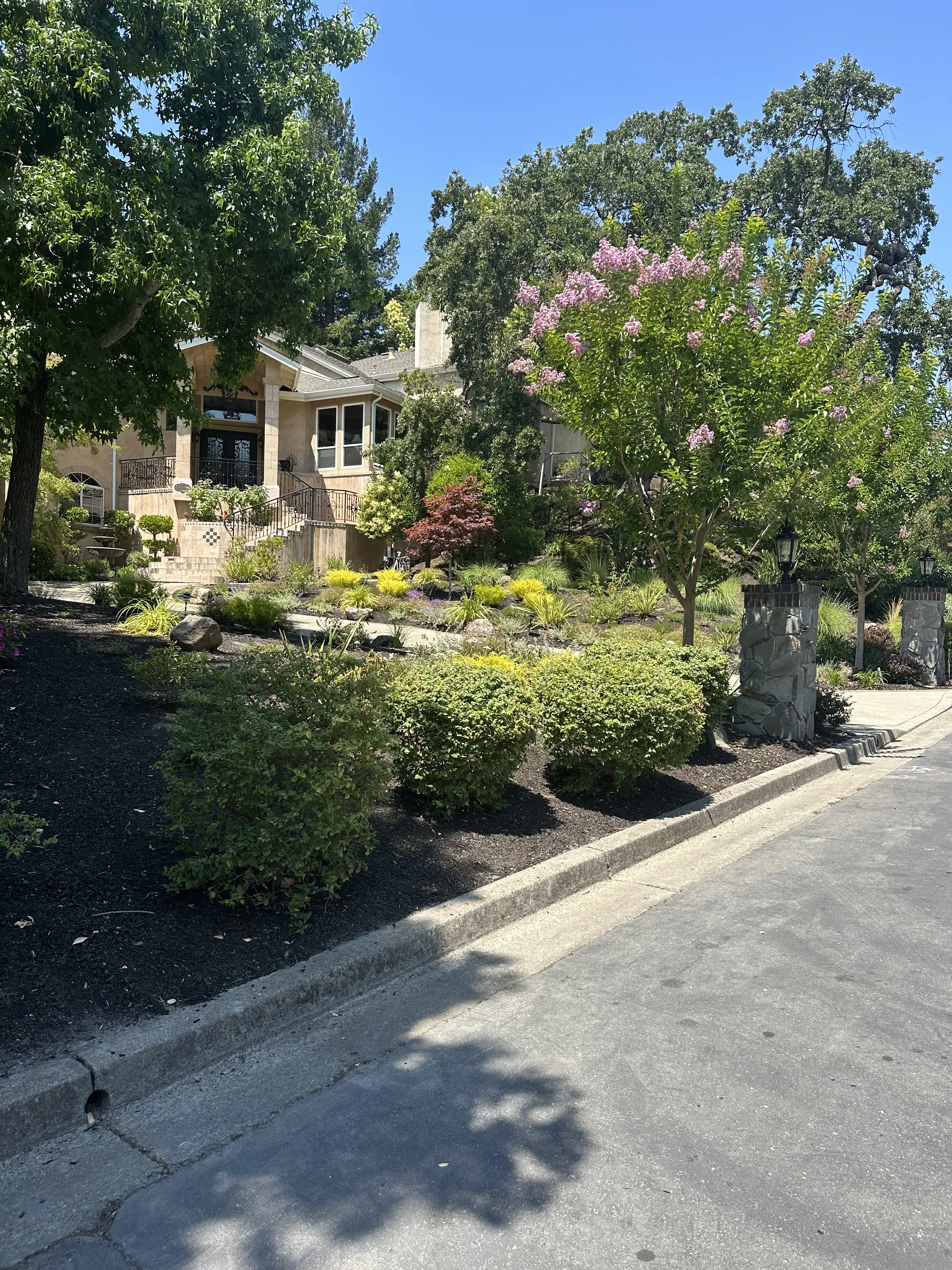 Jean Fogg Landscape project 22