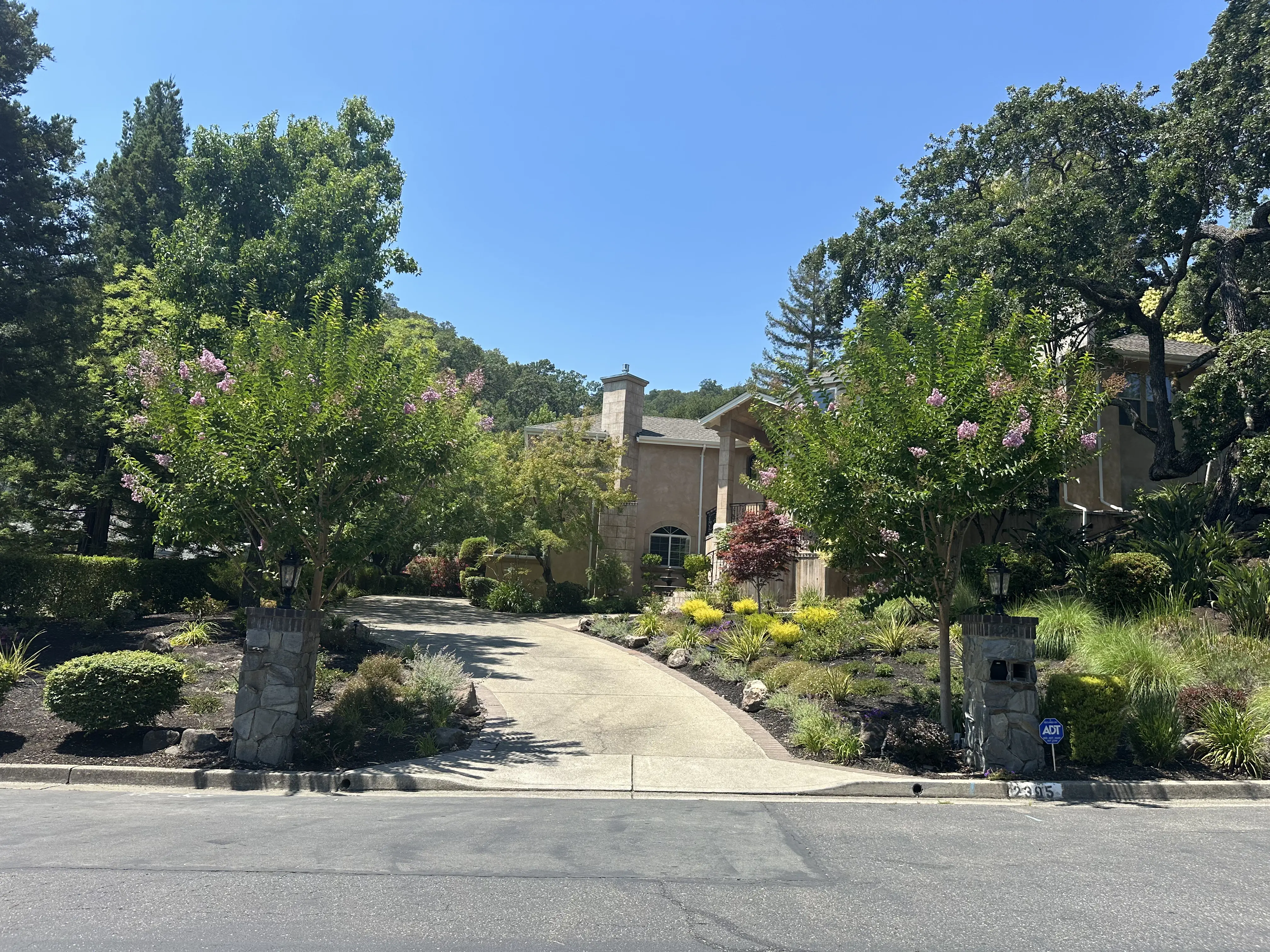 Jean Fogg Landscape project 21