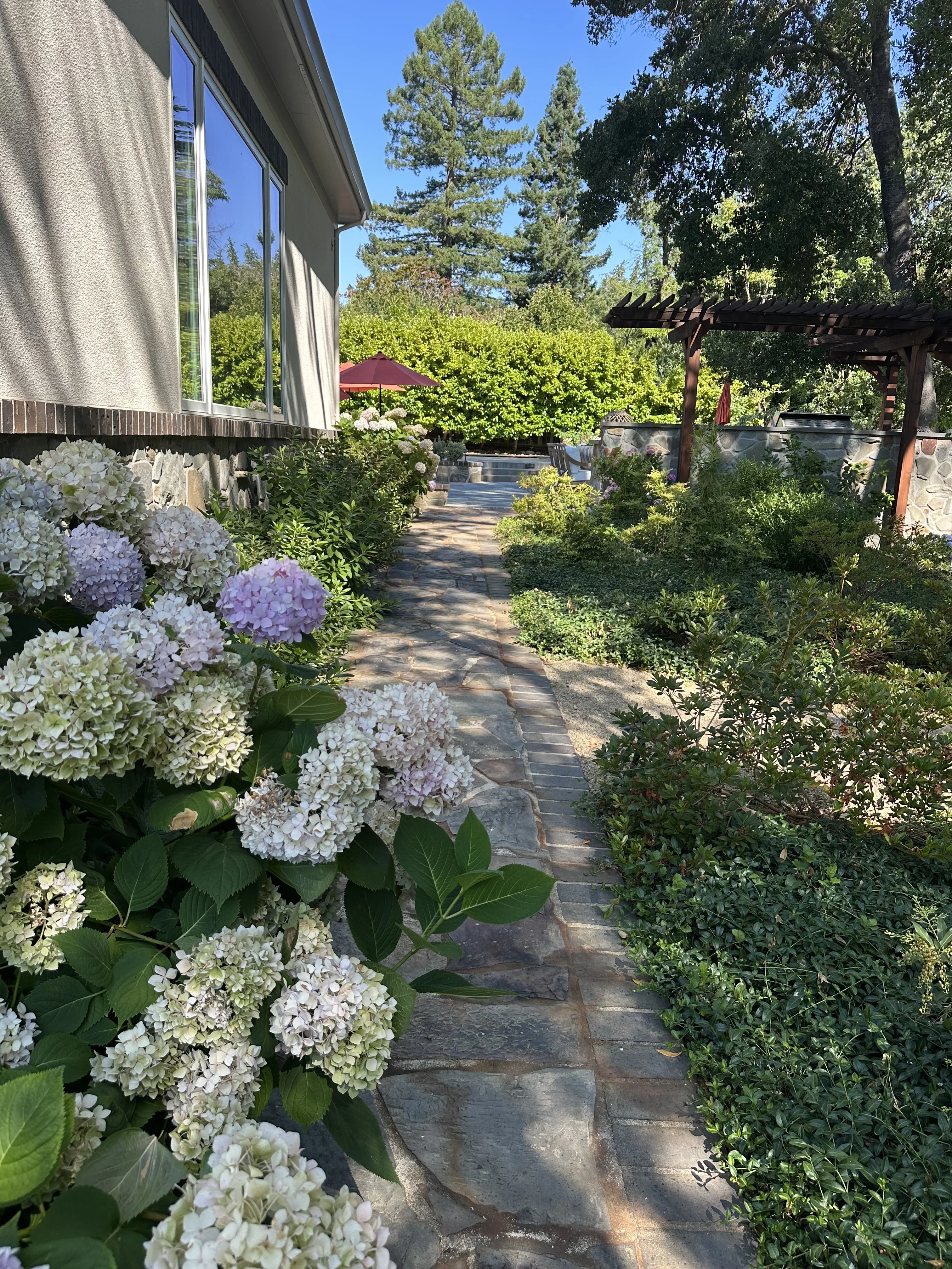 Jean Fogg Landscape project 20