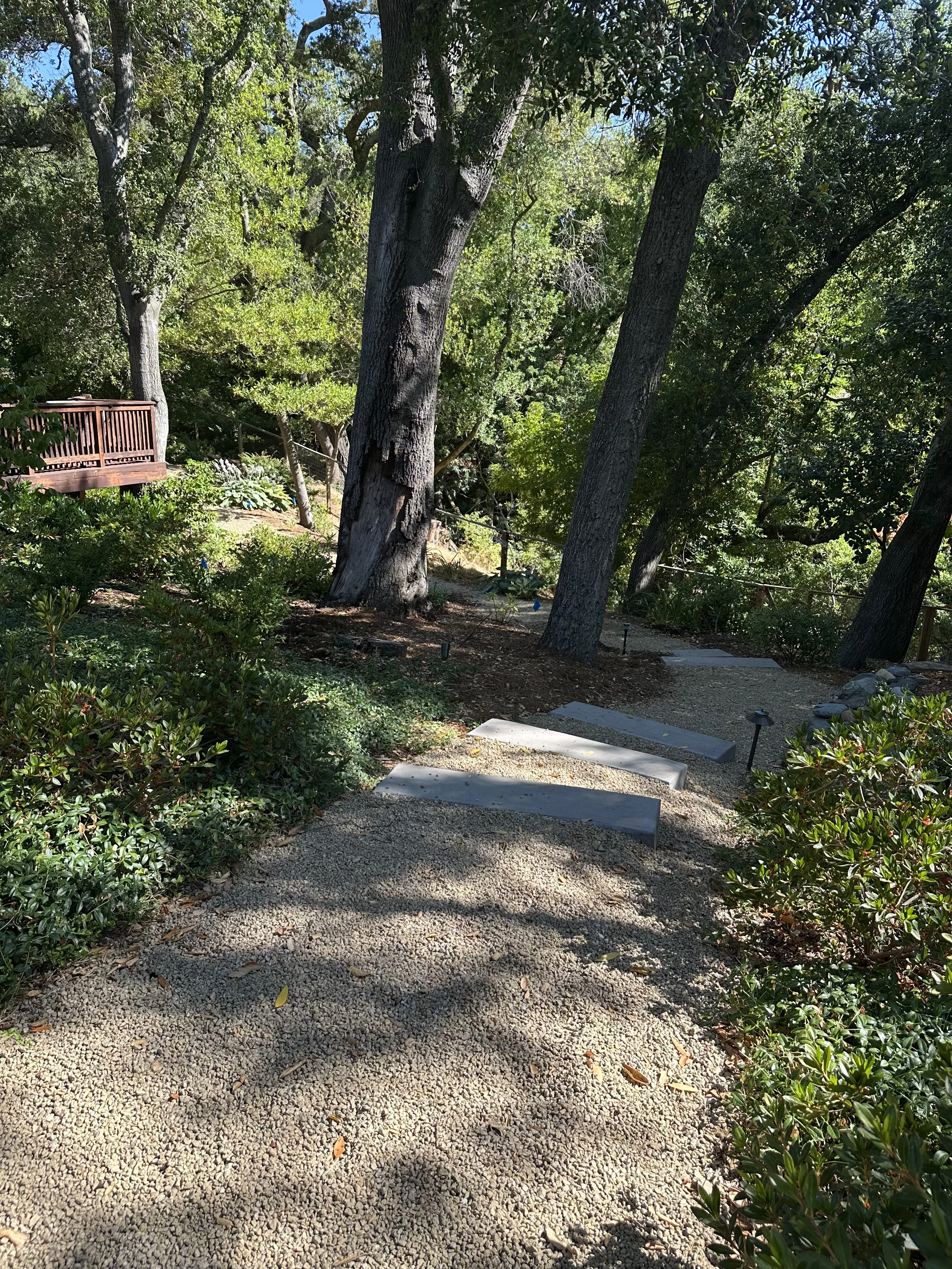 Jean Fogg Landscape project 18