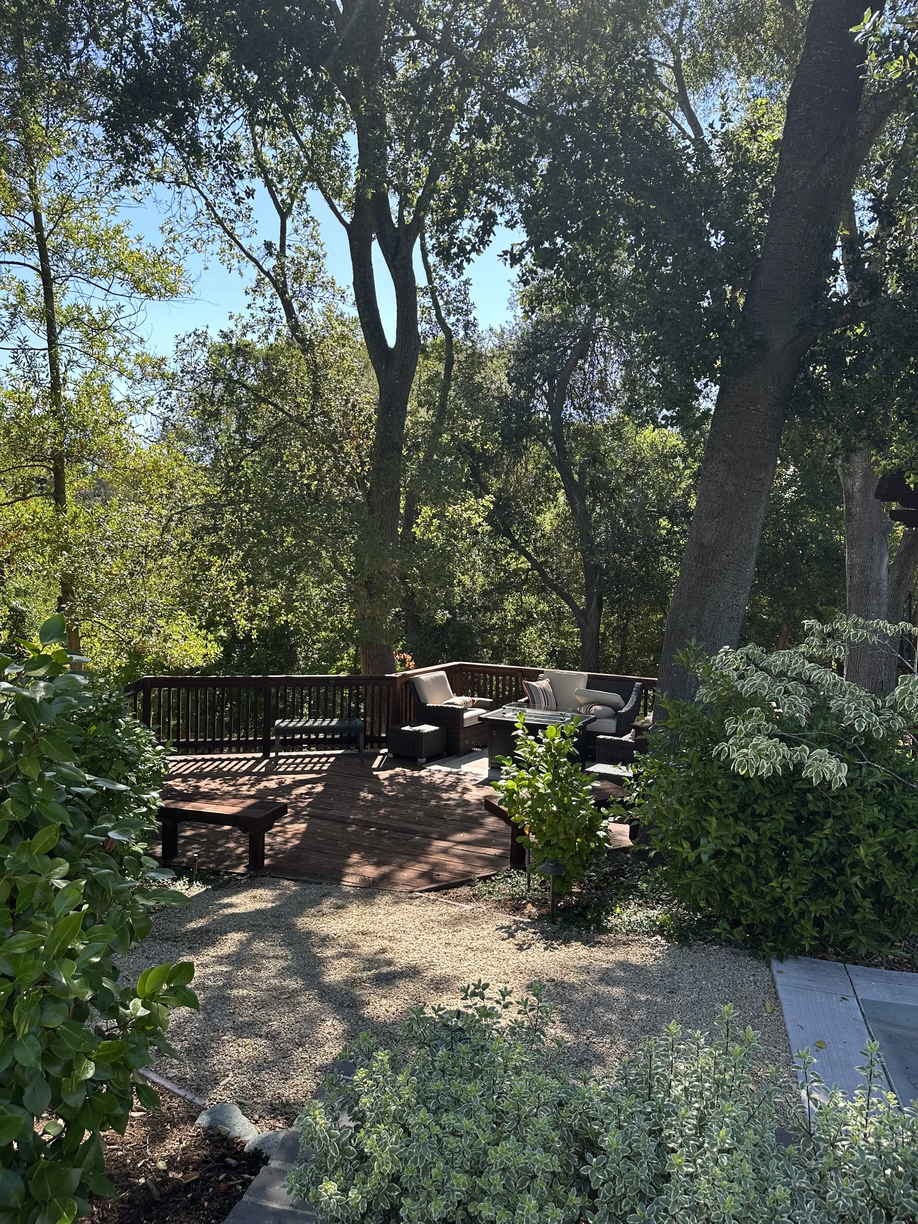 Jean Fogg Landscape project 15