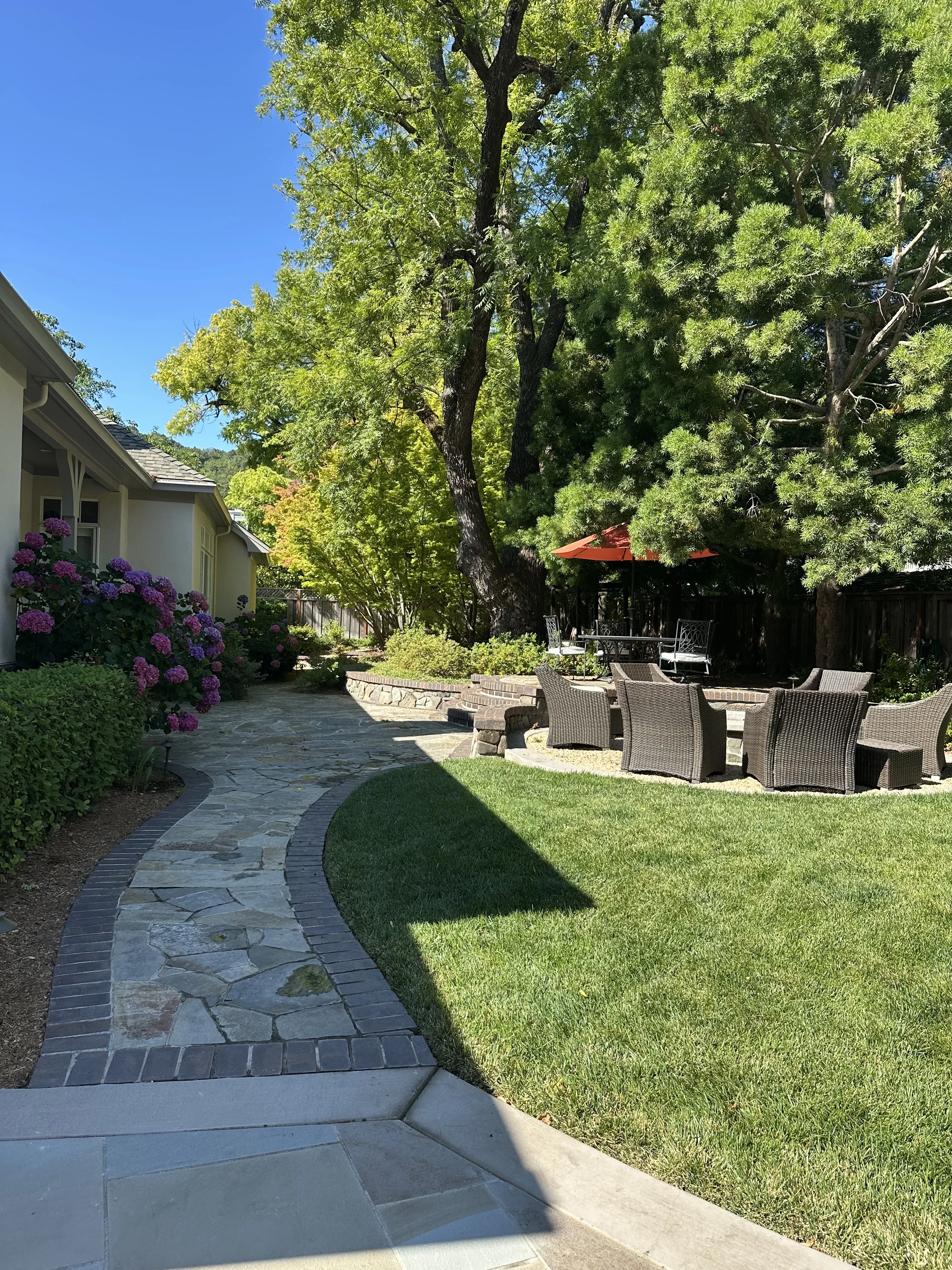 Jean Fogg Landscape project 12