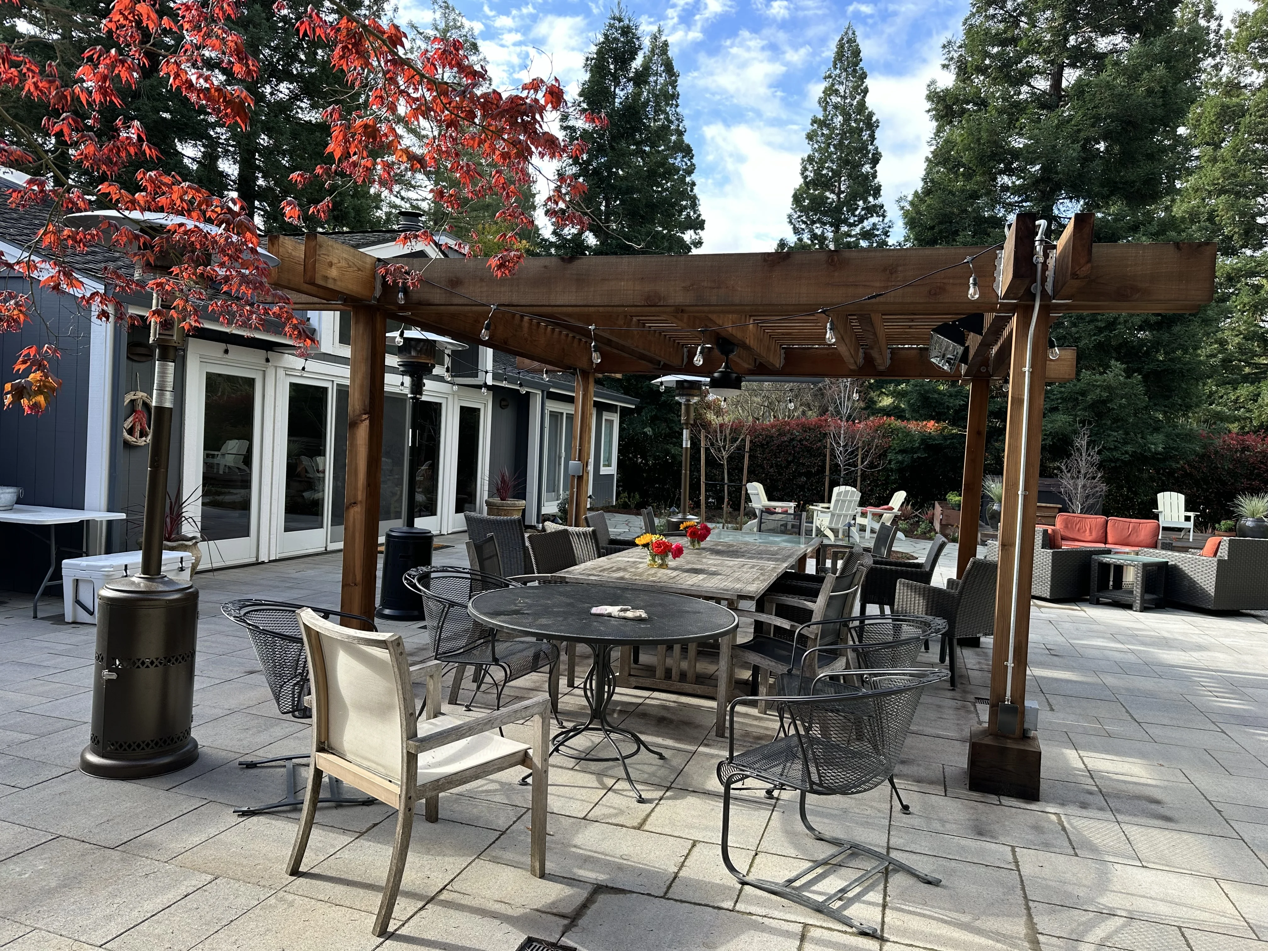 Jean Fogg Landscape project 4