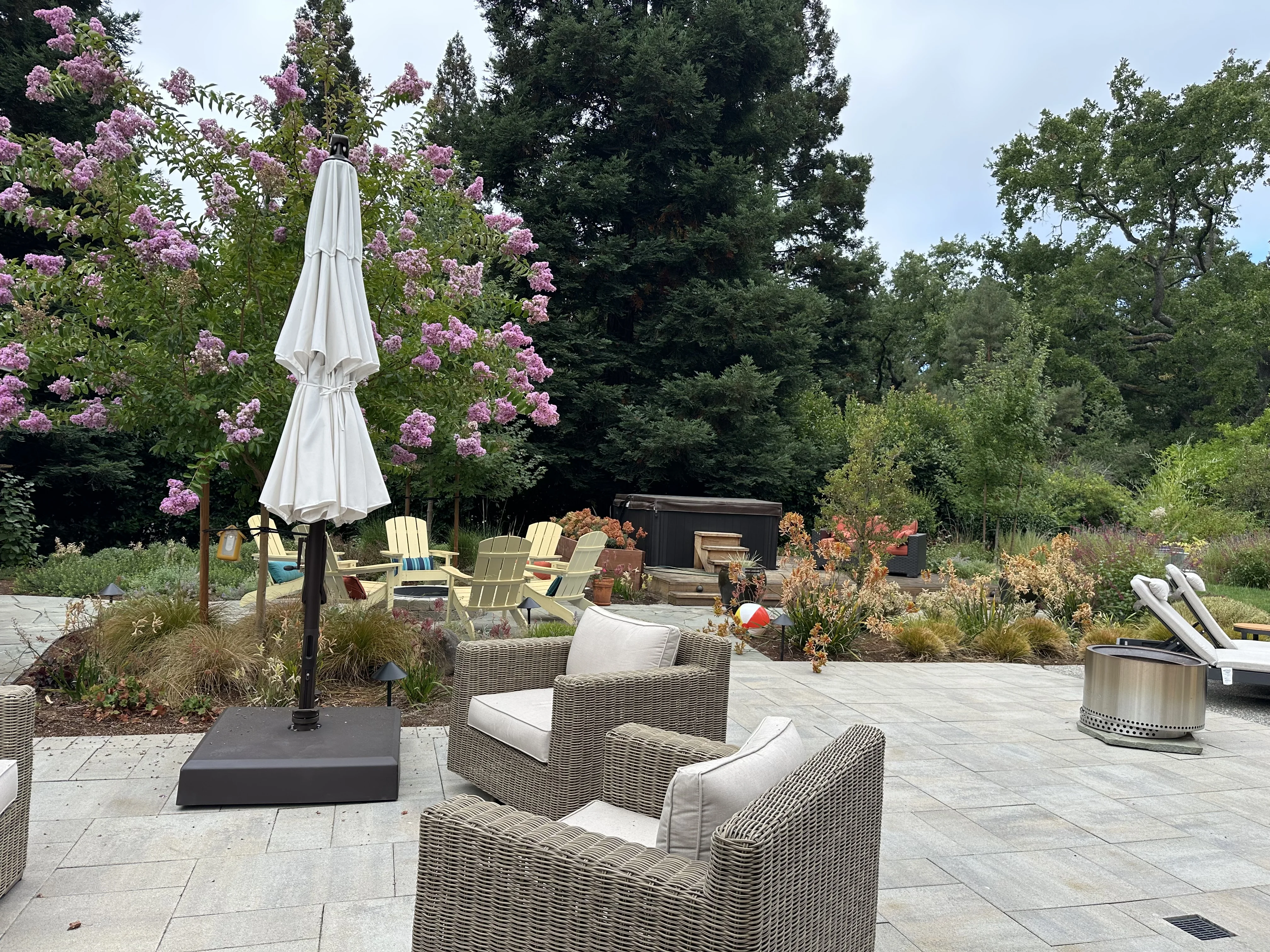 Jean Fogg Landscape project 3